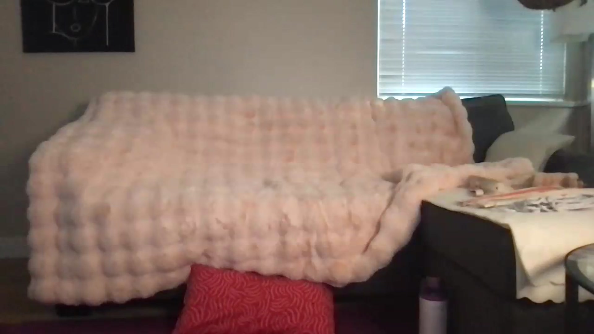 Gallery image thumbnail from IvyBaby4's myfreecams stream on, 06/29/2026, 04:21 image 5 of 20