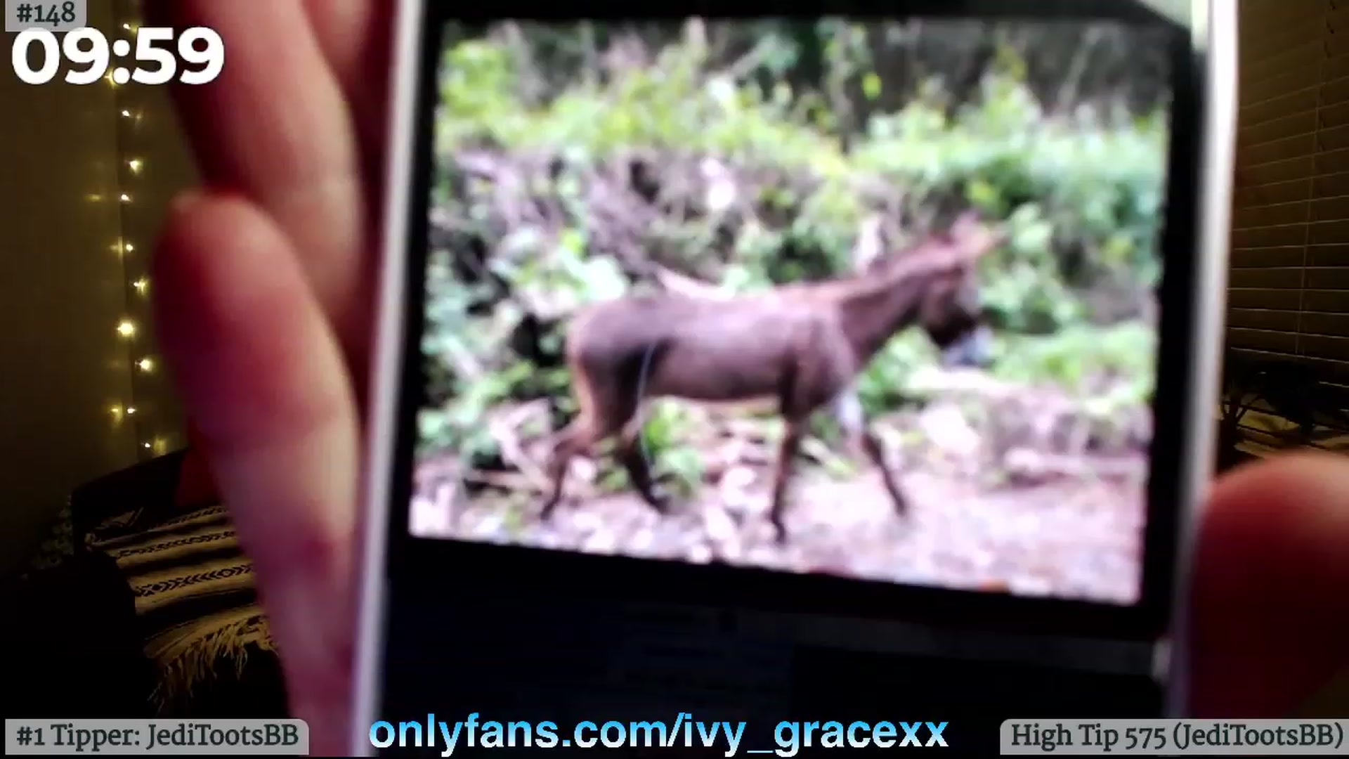 Gallery image thumbnail from IvyGrace's myfreecams stream on, 06/02/2023, 04:39 image 10 of 20