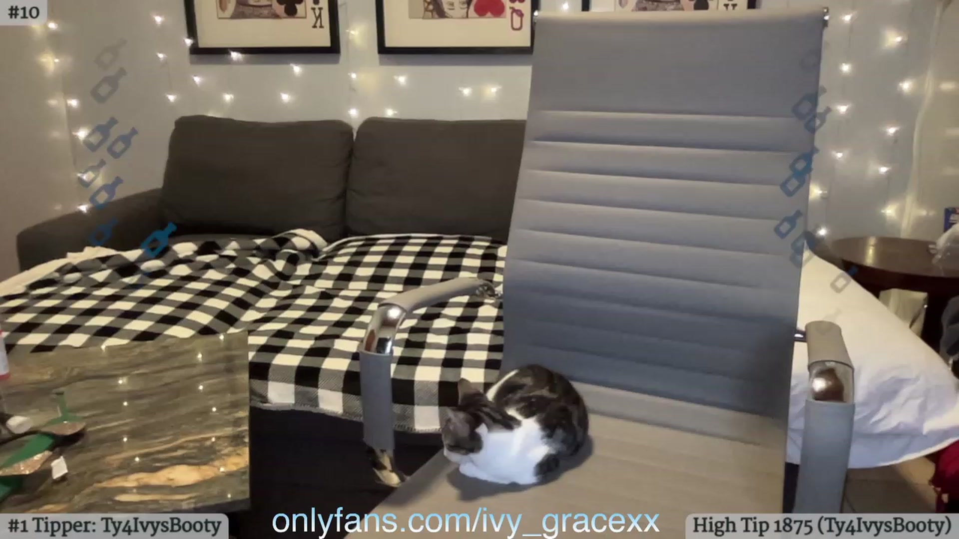 Gallery image thumbnail from IvyGrace's myfreecams stream on, 08/09/2023, 05:14 image 8 of 20