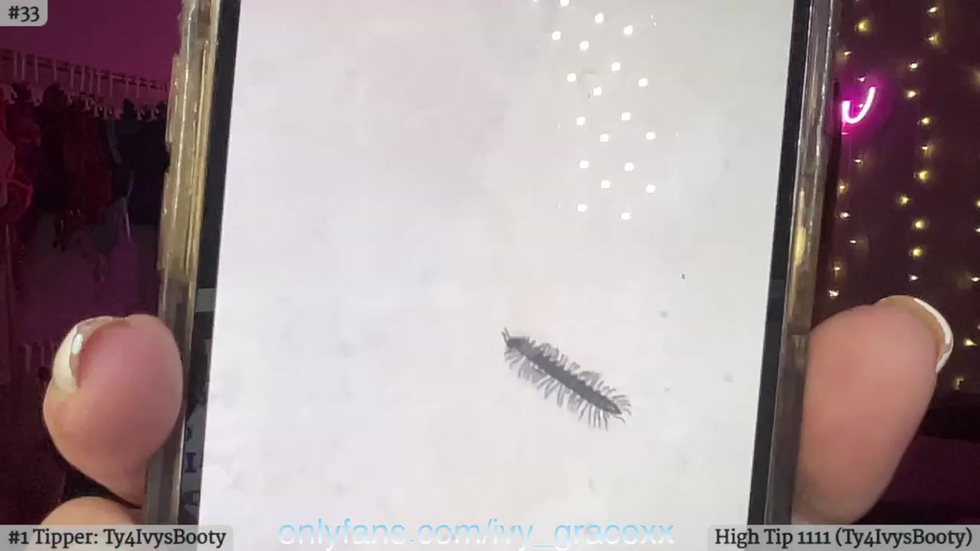 Gallery image thumbnail from IvyGrace's myfreecams stream on, 12/25/2023, 05:58 image 16 of 20