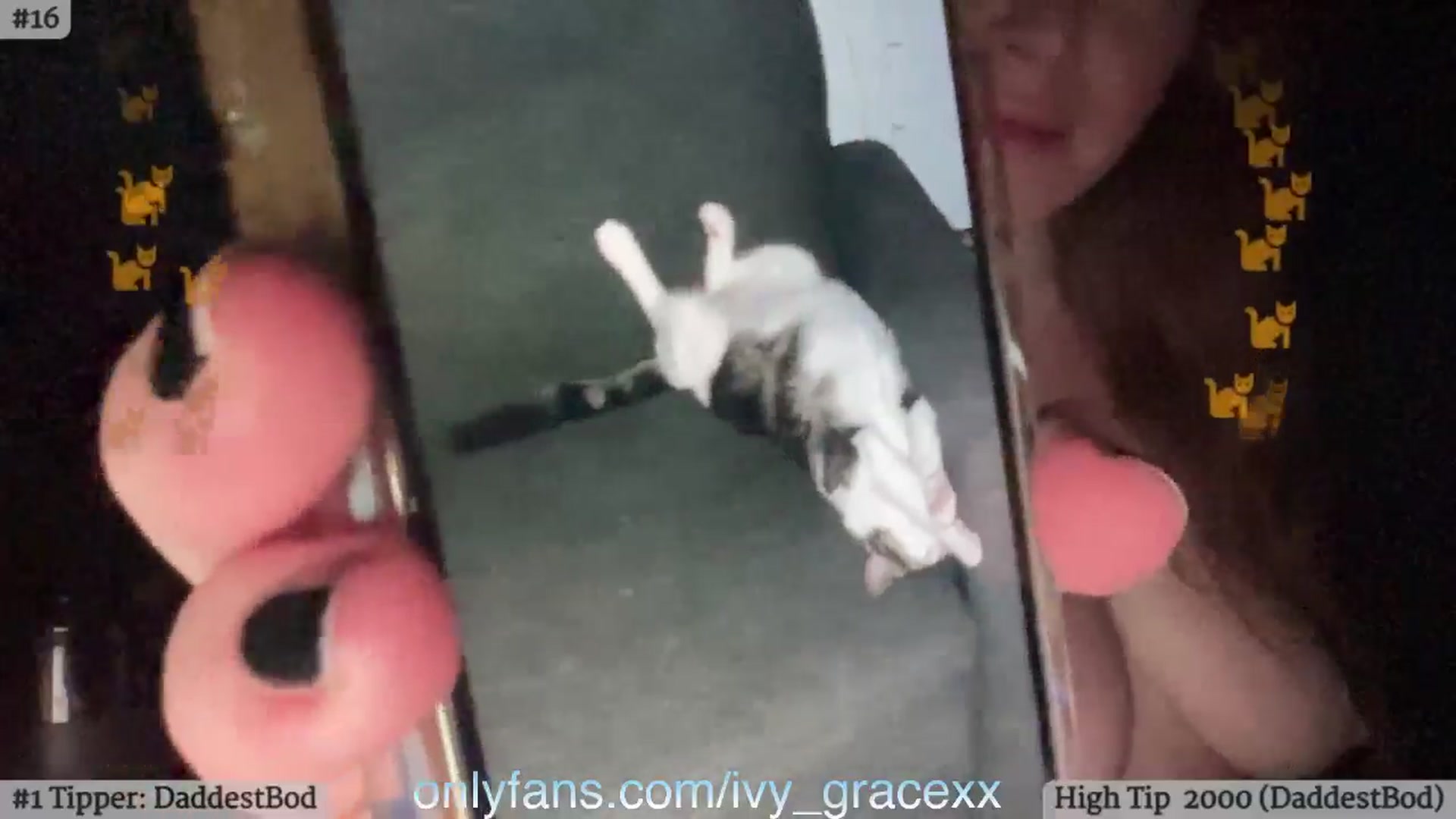 Gallery image thumbnail from IvyGrace's myfreecams stream on, 05/09/2024, 05:36 image 20 of 20