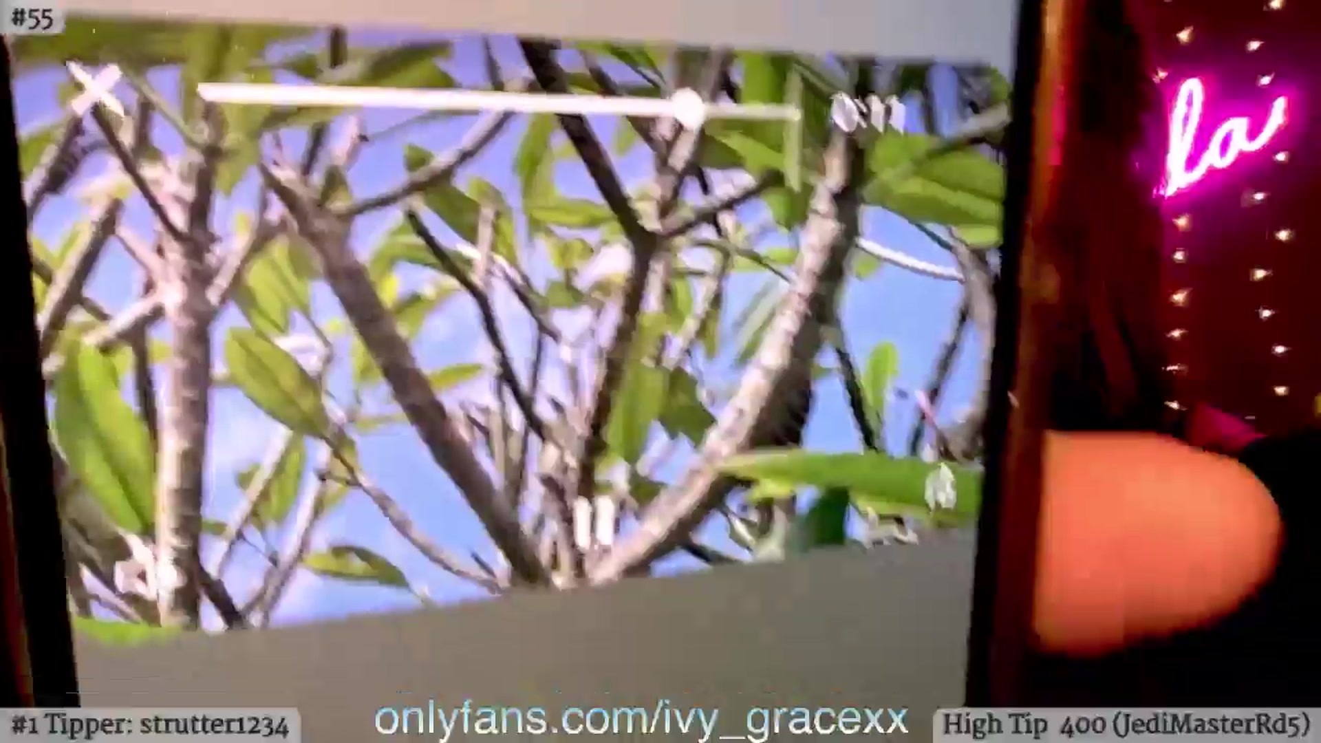 Gallery image thumbnail from IvyGrace's myfreecams stream on, 06/09/2024, 05:40 image 13 of 20