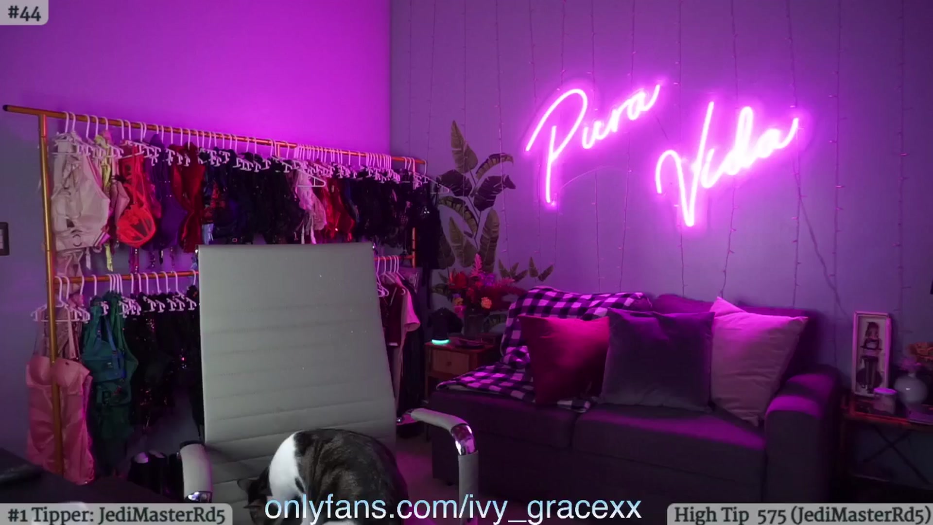 Gallery image thumbnail from IvyGrace's myfreecams stream on, 08/23/2024, 06:07 image 8 of 20