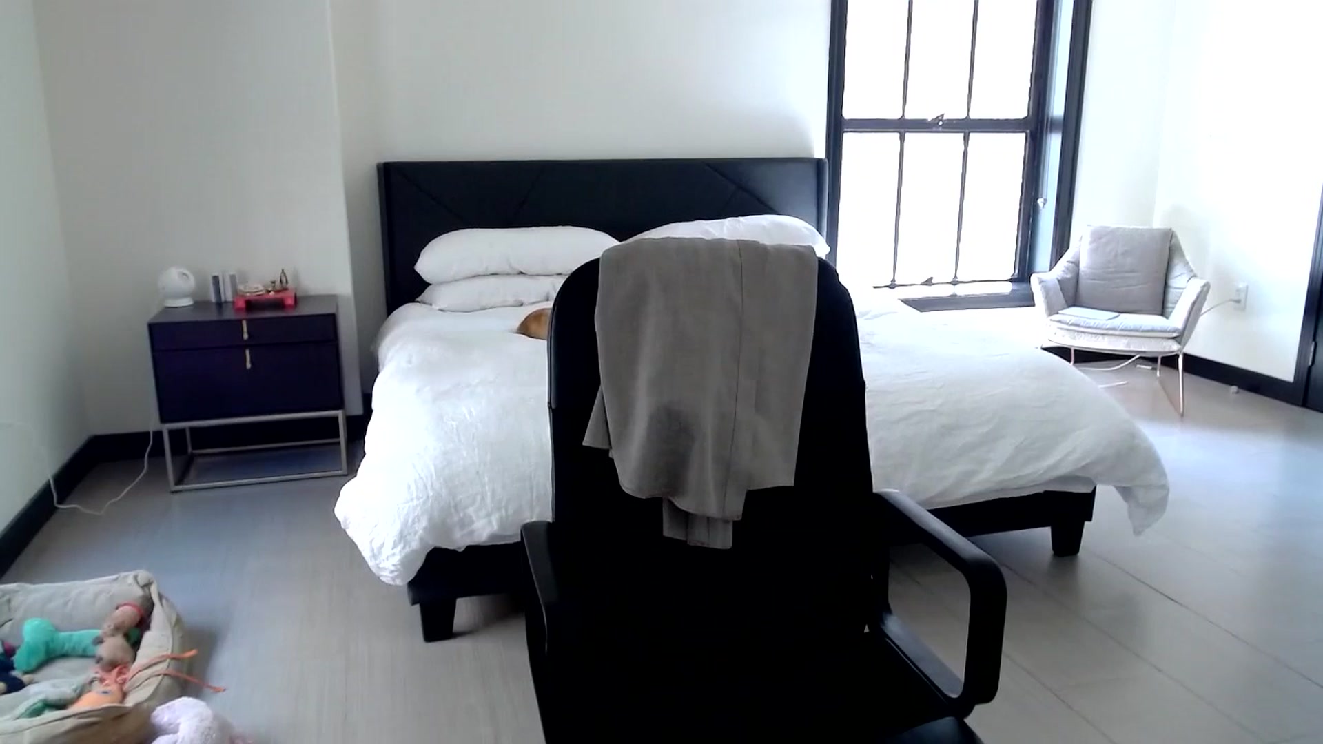Gallery image thumbnail from Ivy__'s myfreecams stream on, 06/28/2023, 22:20 image 10 of 20