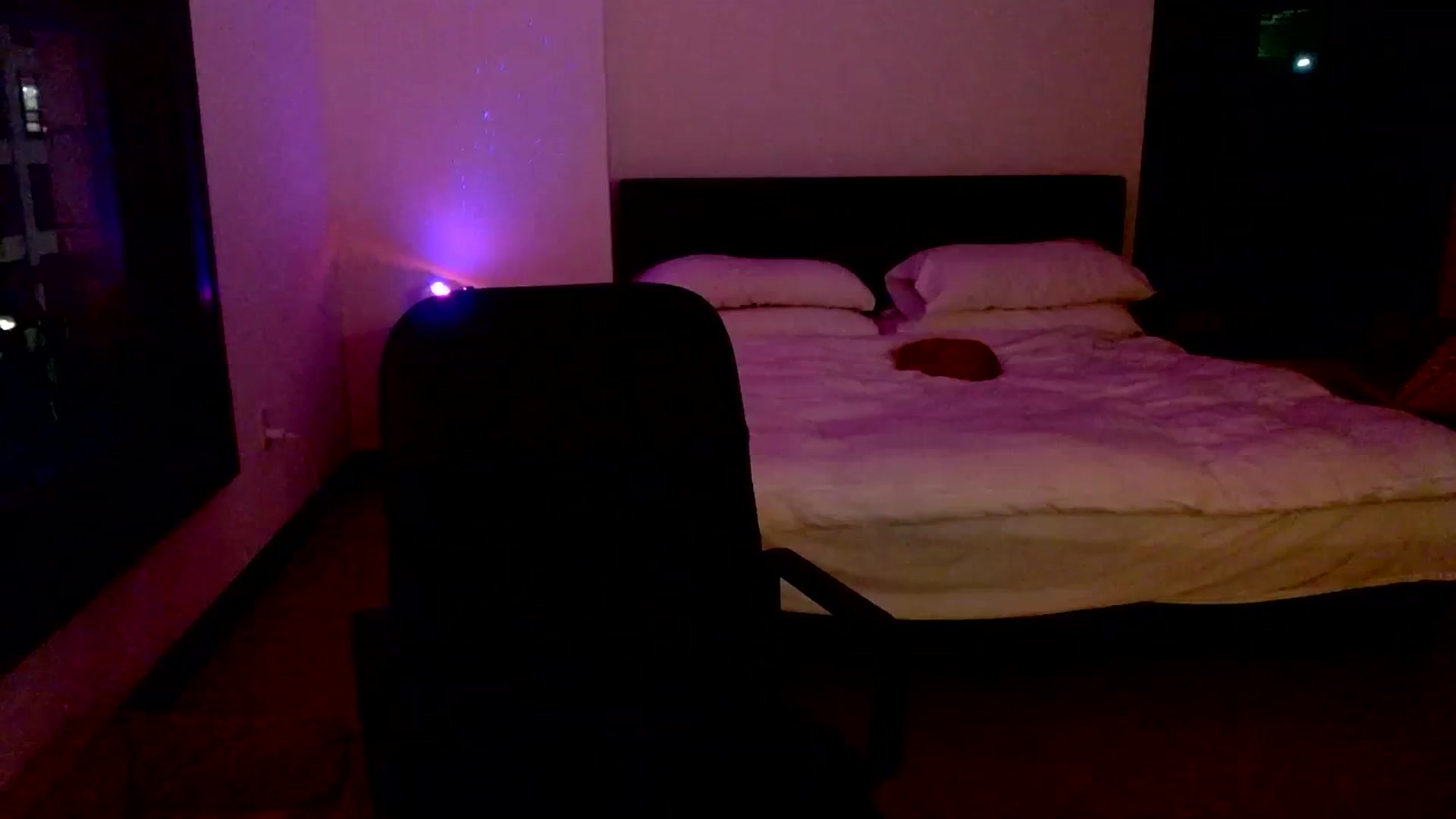 Gallery image thumbnail from Ivy__'s myfreecams stream on, 07/24/2023, 08:54 image 12 of 20