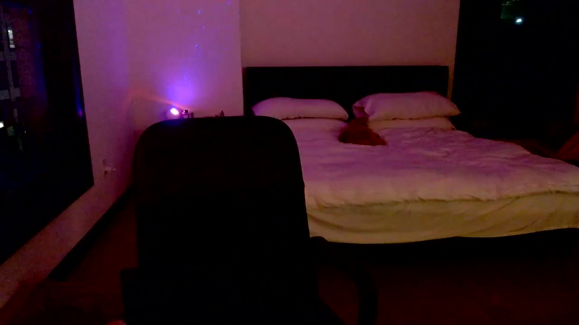 Gallery image thumbnail from Ivy__'s myfreecams stream on, 07/24/2023, 08:54 image 20 of 20