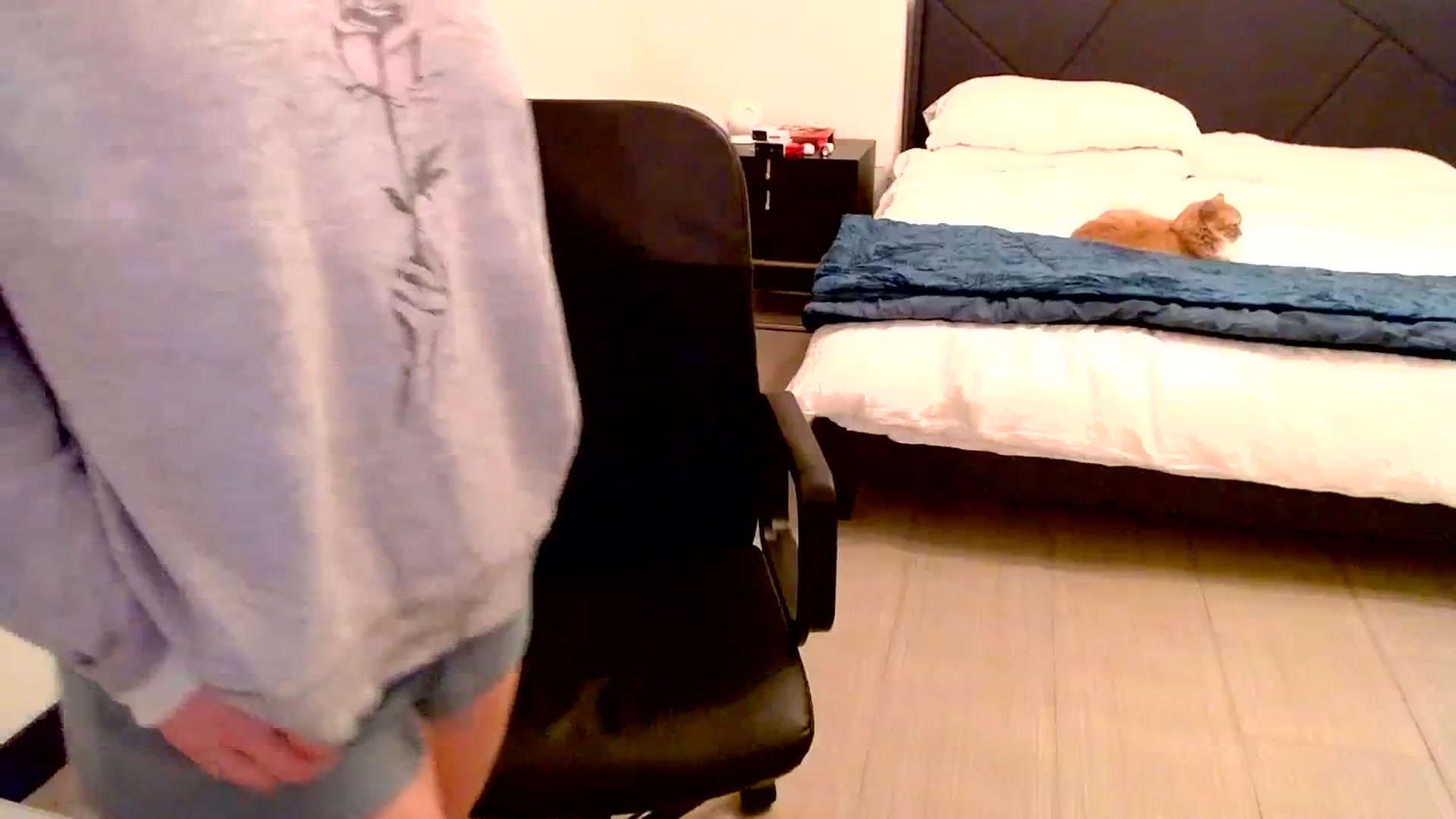 Gallery image thumbnail from Ivy__'s myfreecams stream on, 10/08/2023, 08:55 image 5 of 20