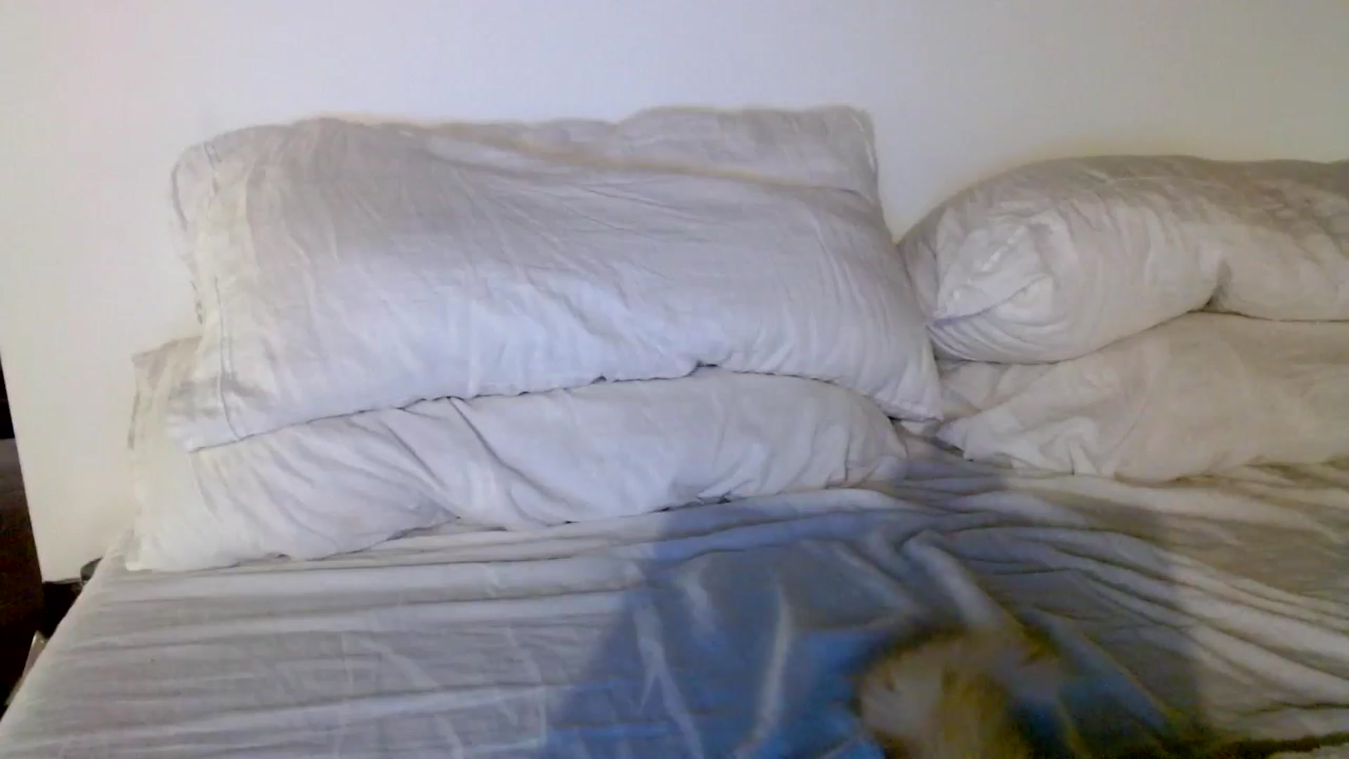 Gallery image thumbnail from Ivy__'s myfreecams stream on, 05/25/2024, 08:06 image 14 of 20