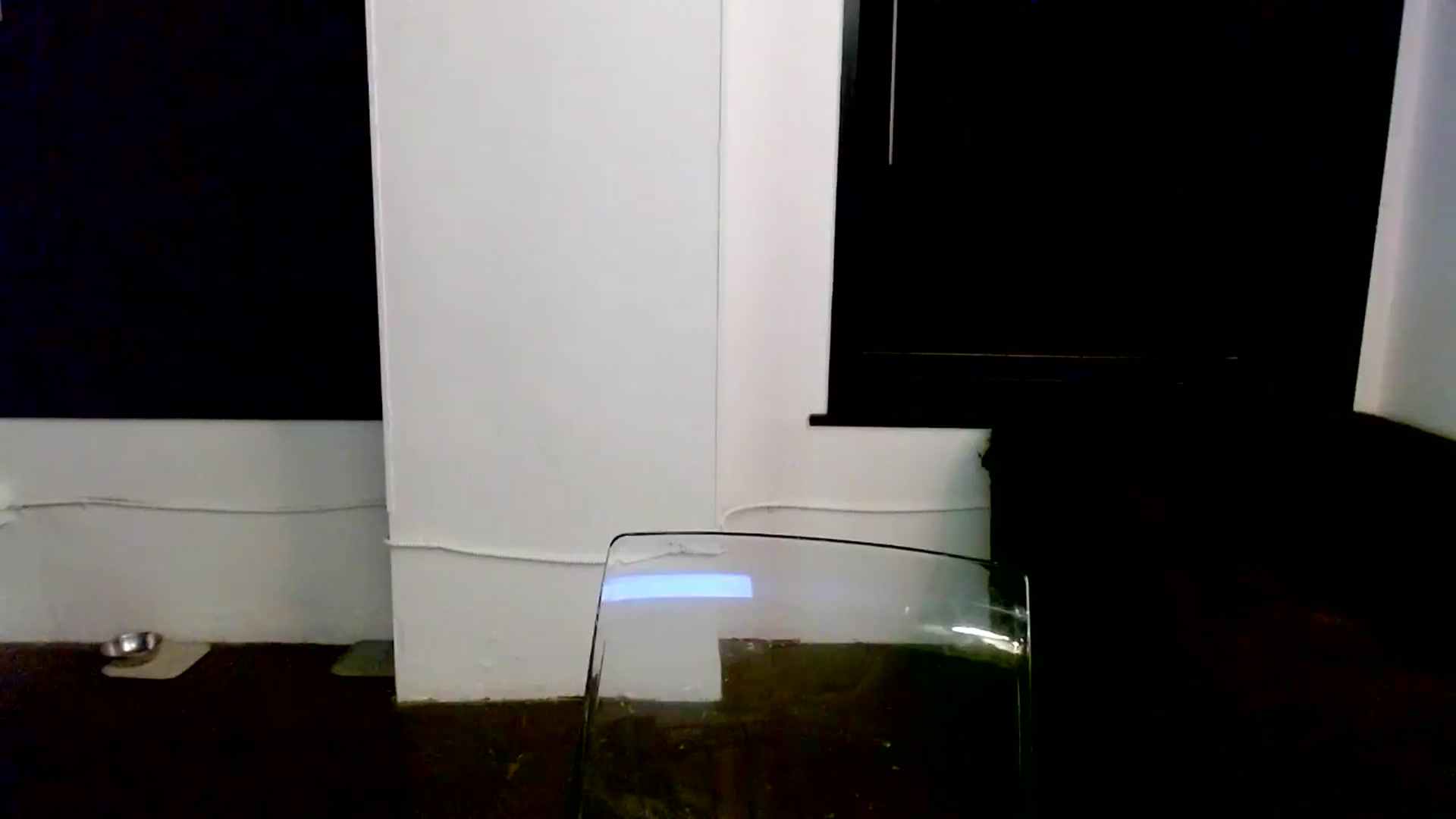 Gallery image thumbnail from Ivy__'s myfreecams stream on, 06/27/2024, 09:12 image 15 of 20
