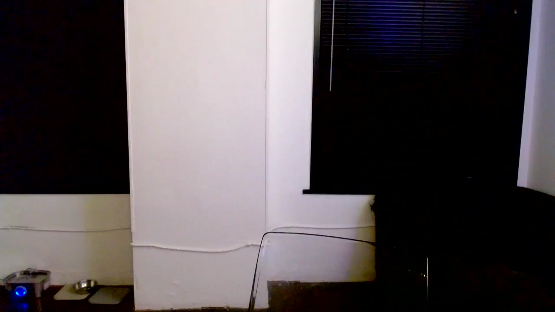 Gallery image thumbnail from Ivy__'s myfreecams stream on, 06/30/2024, 08:05 image 16 of 20