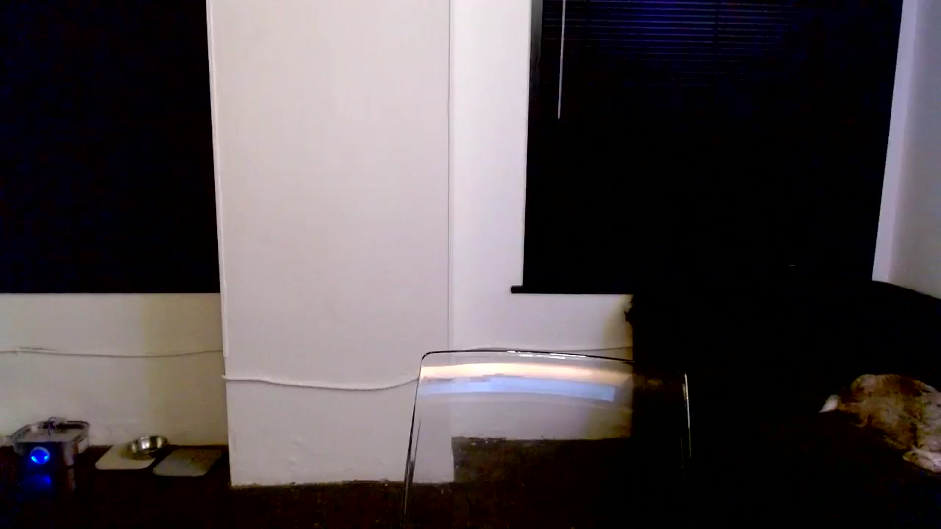 Gallery image thumbnail from Ivy__'s myfreecams stream on, 06/30/2024, 08:05 image 1 of 20
