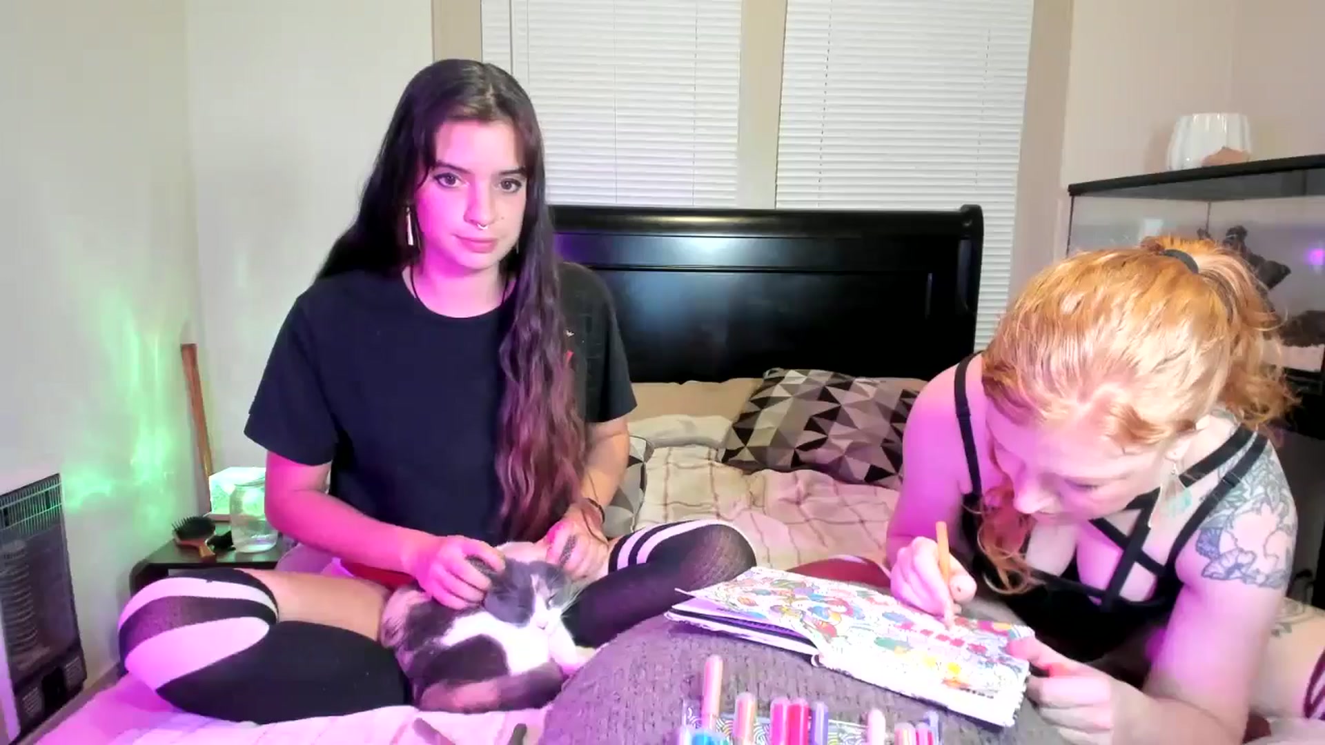 Gallery image thumbnail from IvyandCharlie's myfreecams stream on, 11/15/2024, 13:06 image 19 of 20