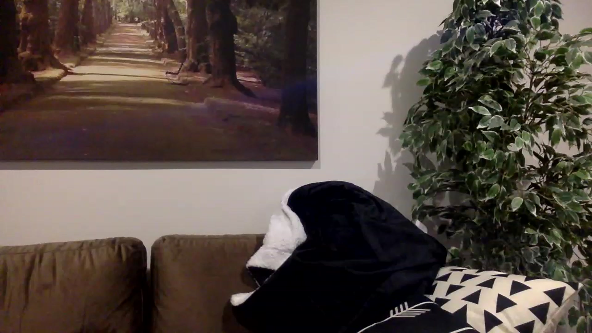 Gallery image thumbnail from Ivyyxo's myfreecams stream on, 05/29/2023, 05:13 image 18 of 20