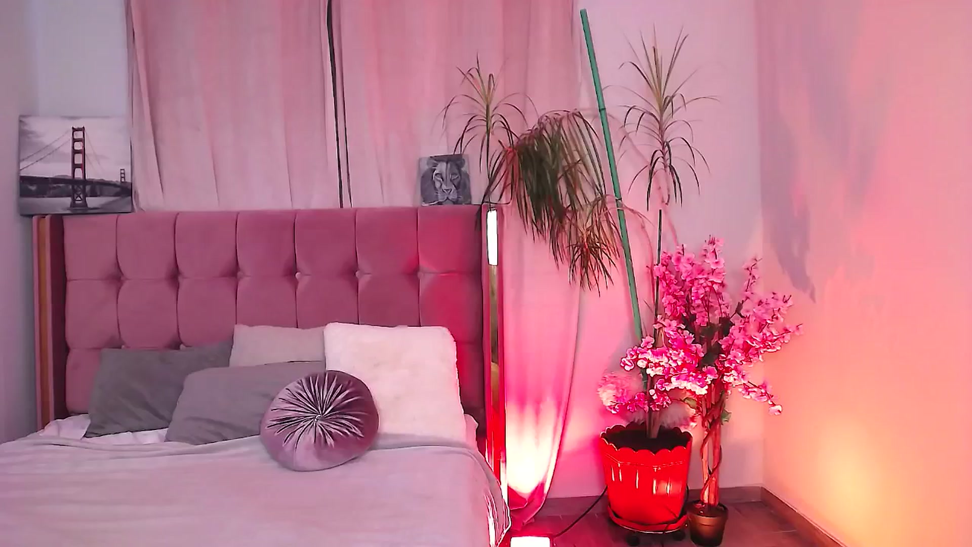 Gallery image thumbnail from JESSICAA's myfreecams stream on, 09/21/2024, 07:47 image 7 of 20