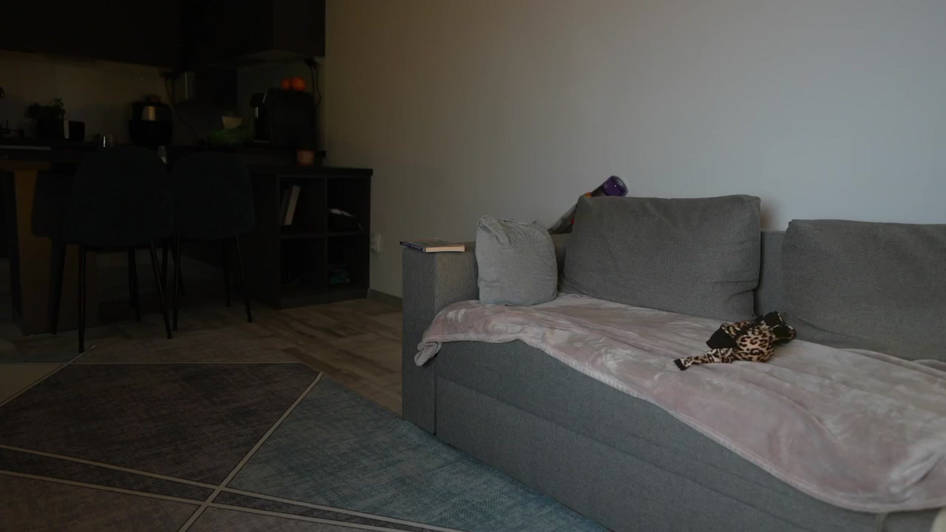 Gallery image thumbnail from JESSICAA's myfreecams stream on, 08/17/2025, 13:42 image 12 of 20