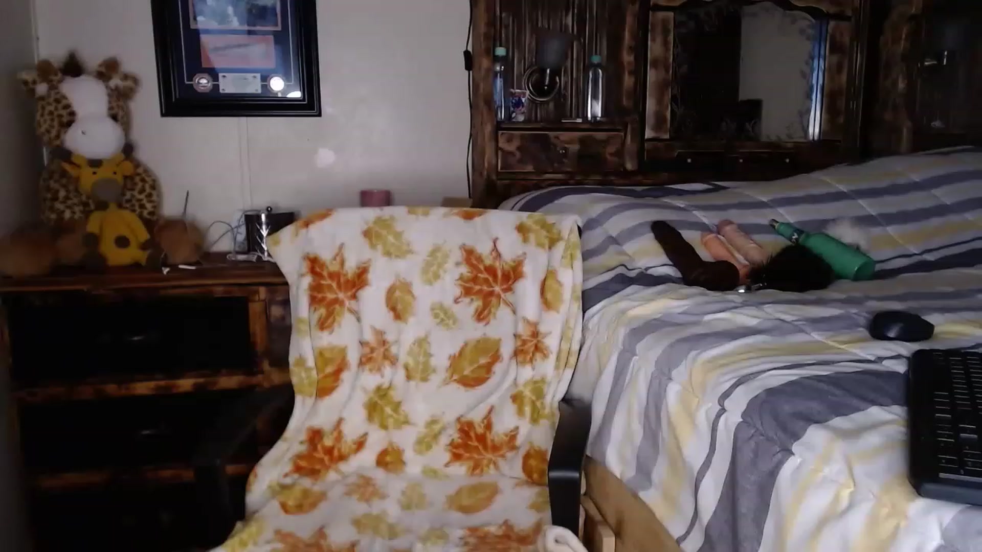 Gallery image thumbnail from JadeDixxin's myfreecams stream on, 11/17/2022, 18:56 image 15 of 20