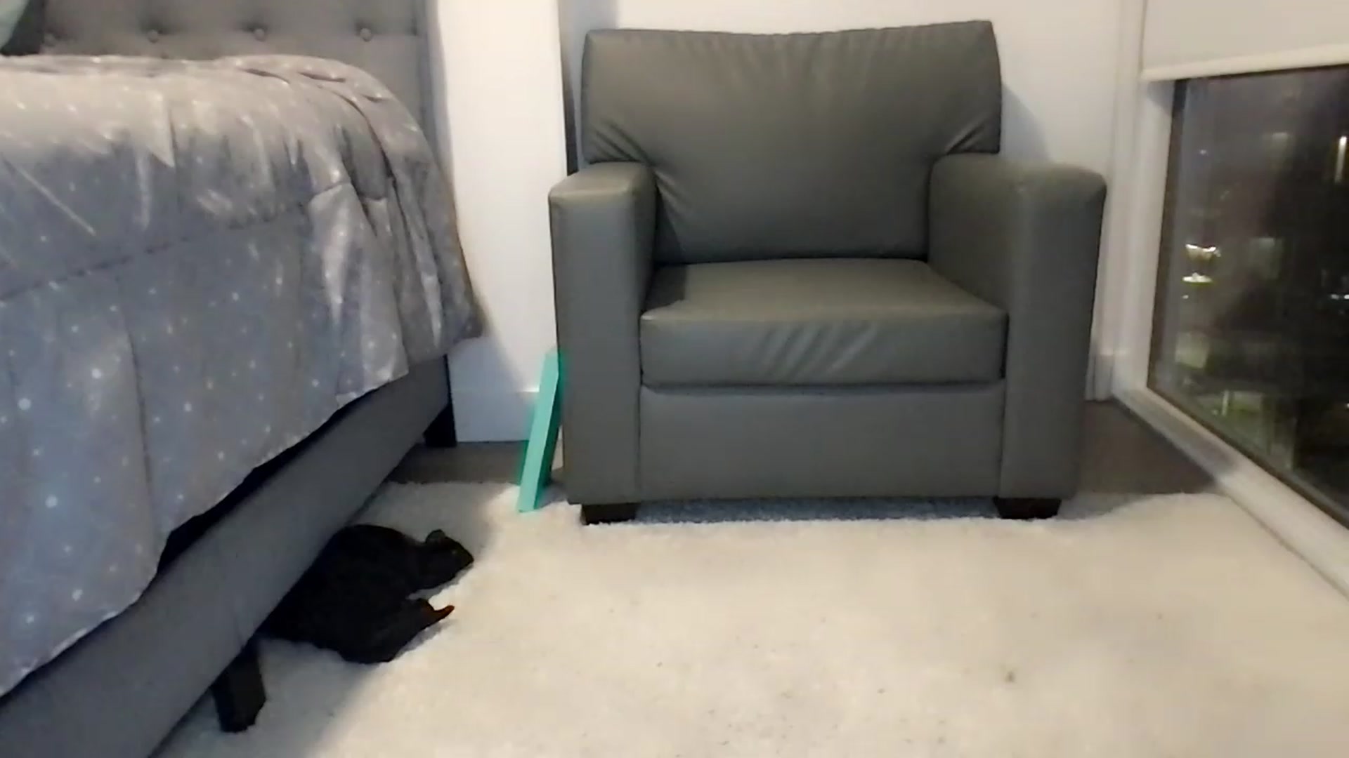 Gallery image thumbnail from Jade_Lee's myfreecams stream on, 12/19/2022, 05:32 image 4 of 20