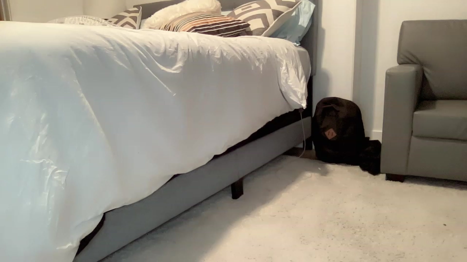 Gallery image thumbnail from Jade_Lee's myfreecams stream on, 01/29/2023, 03:52 image 16 of 20