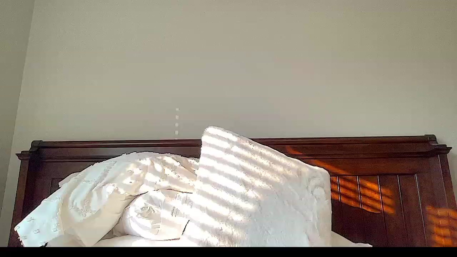 Gallery image thumbnail from Jade_Lee's myfreecams stream on, 05/19/2023, 01:27 image 12 of 20