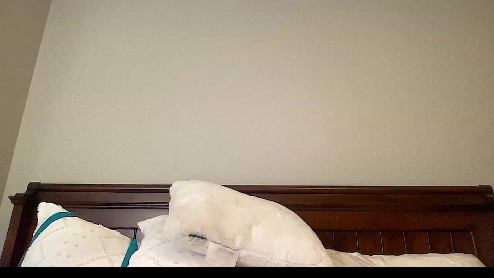 Gallery image thumbnail from Jade_Lee's myfreecams stream on, 06/26/2023, 03:42 image 19 of 20