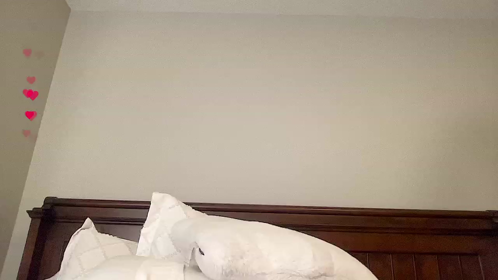 Gallery image thumbnail from Jade_Lee's myfreecams stream on, 07/20/2023, 03:16 image 8 of 20