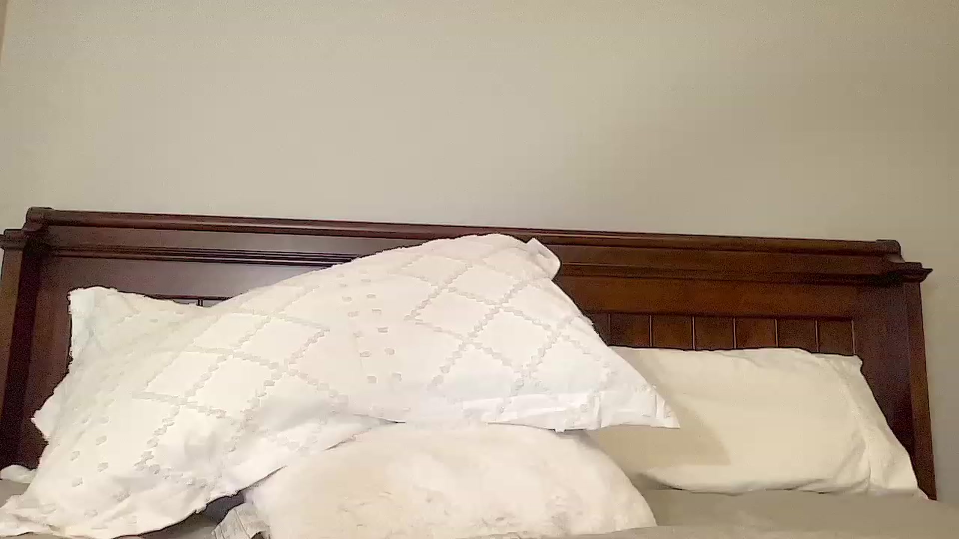 Gallery image thumbnail from Jade_Lee's myfreecams stream on, 08/17/2023, 04:08 image 9 of 20