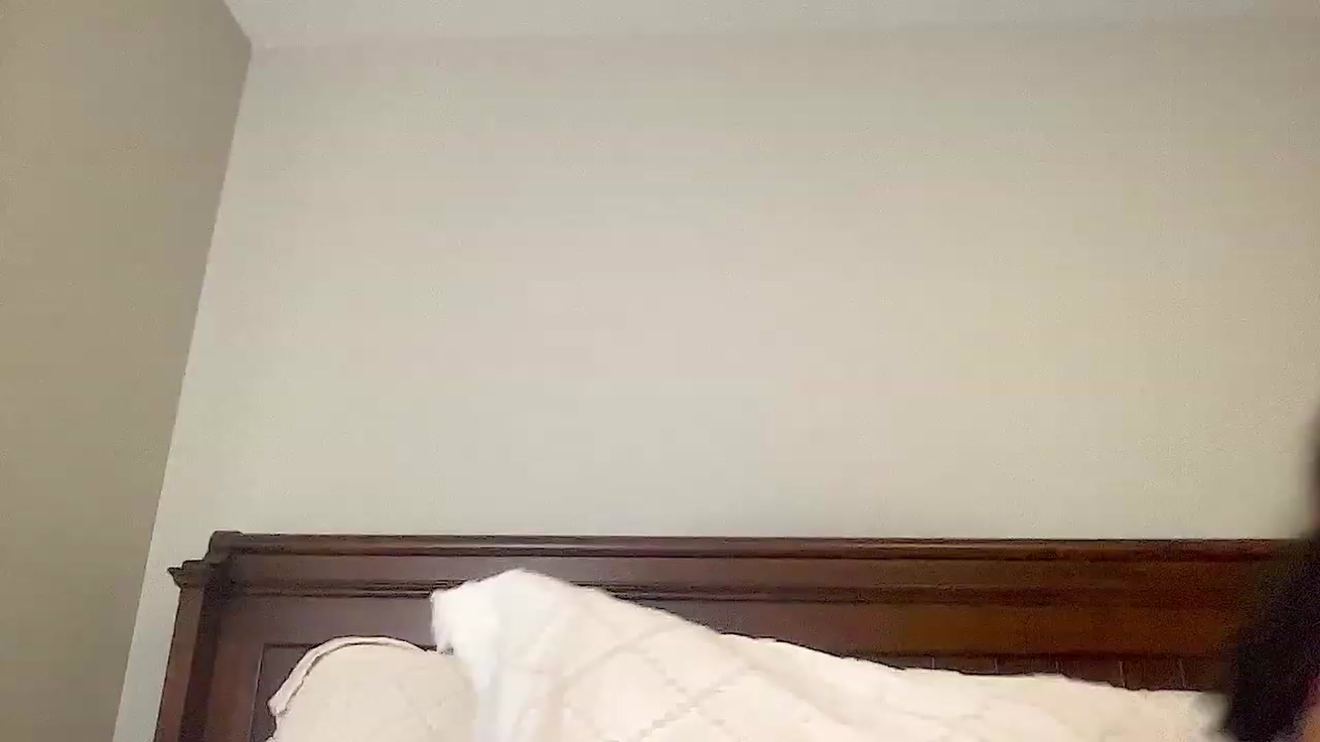 Gallery image thumbnail from Jade_Lee's myfreecams stream on, 01/02/2024, 03:49 image 6 of 20