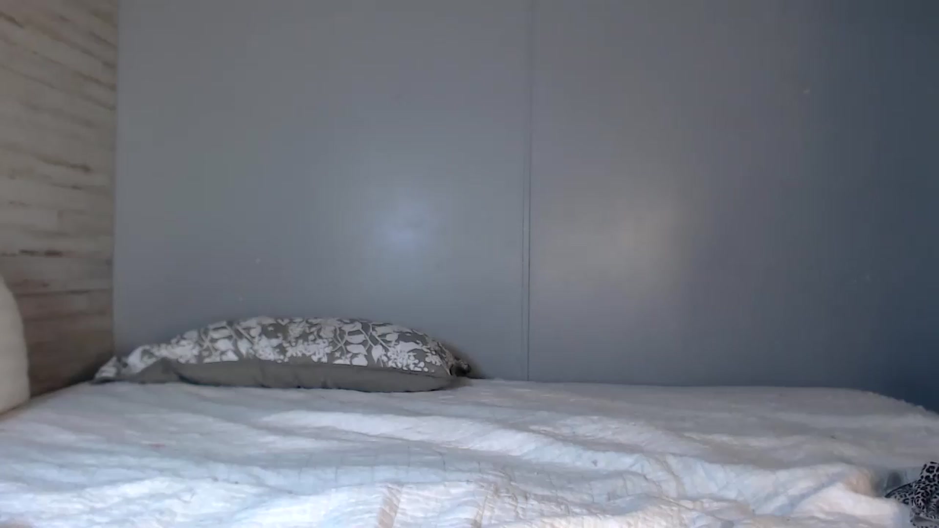 Gallery image thumbnail from JaidenAngel's myfreecams stream on, 07/10/2026, 09:13 image 17 of 20
