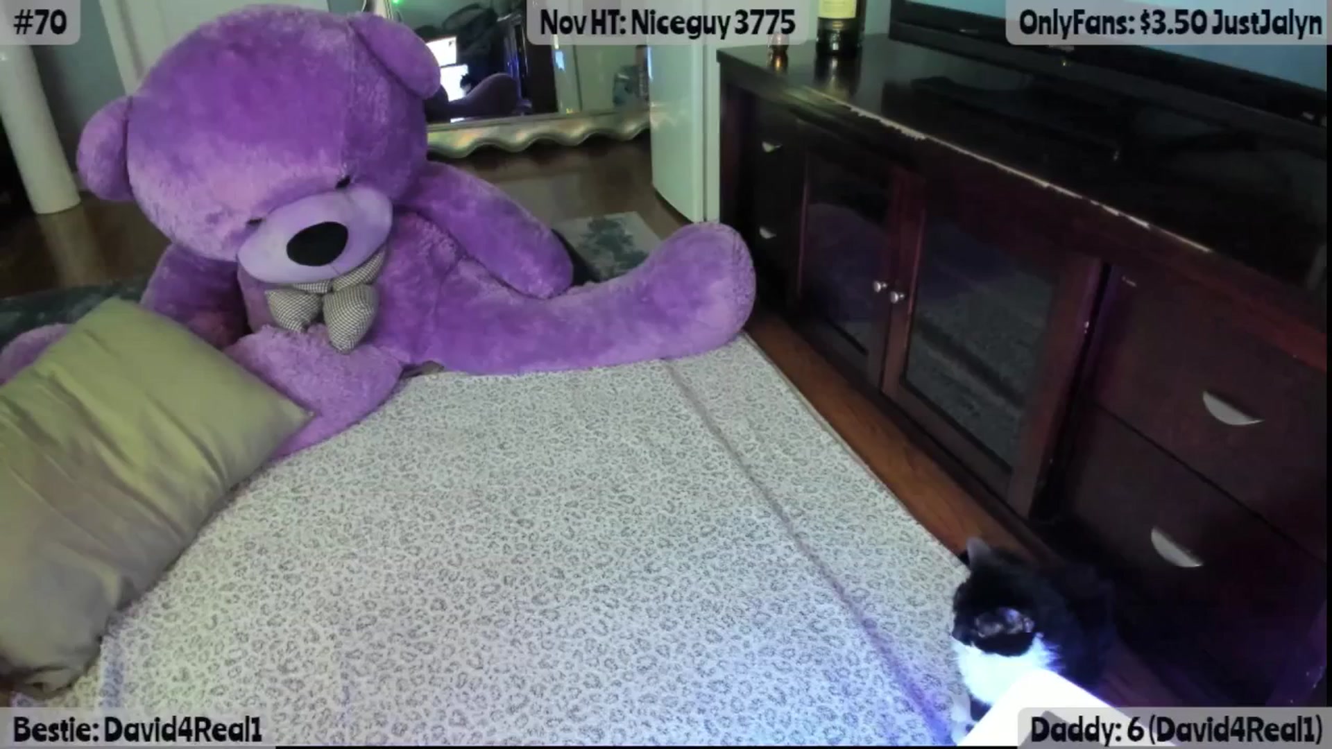 Gallery image thumbnail from Jalyn's myfreecams stream on, 11/07/2025, 24:22 image 20 of 20
