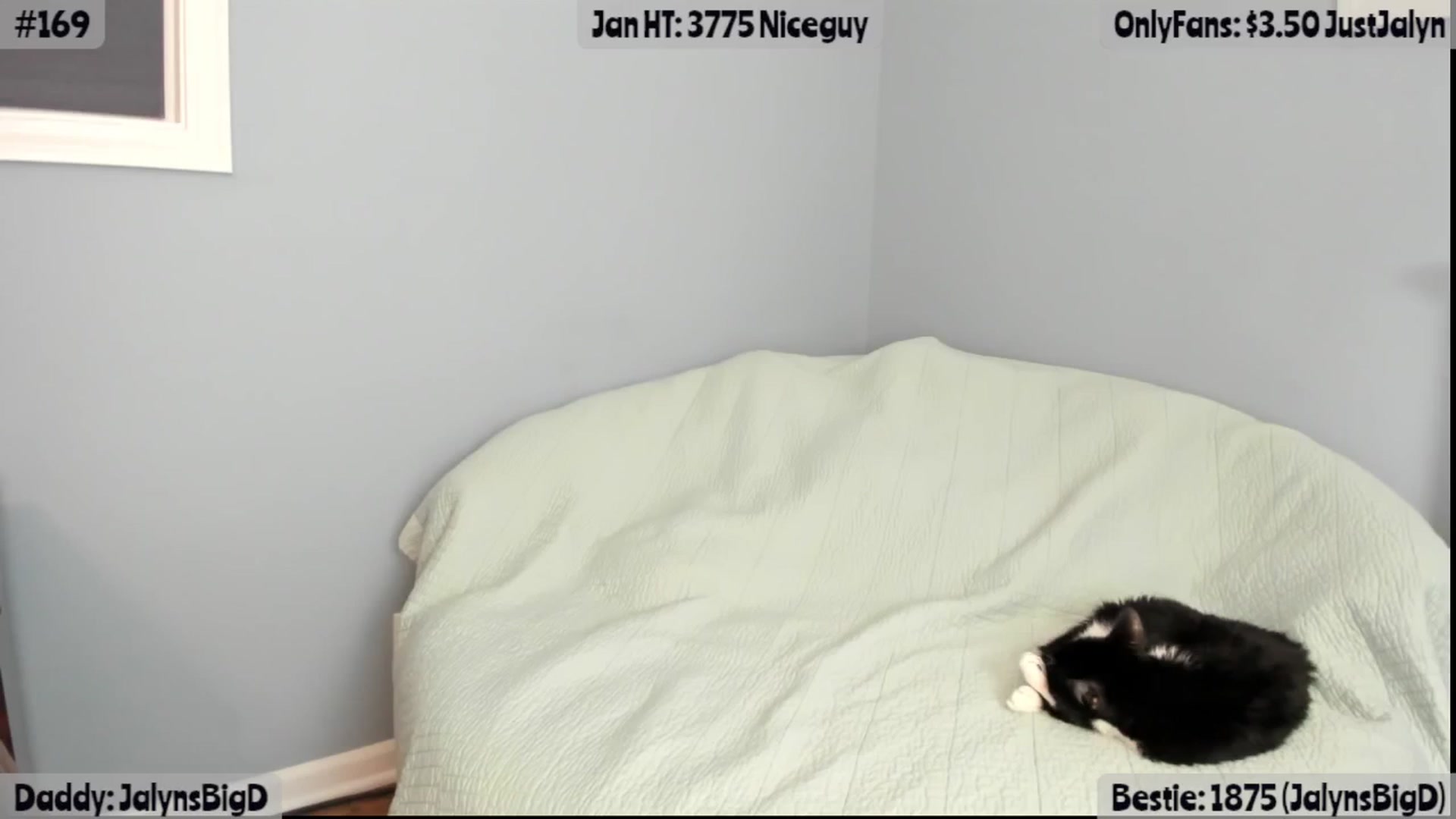 Gallery image thumbnail from Jalyn's myfreecams stream on, 01/10/2026, 02:40 image 18 of 20