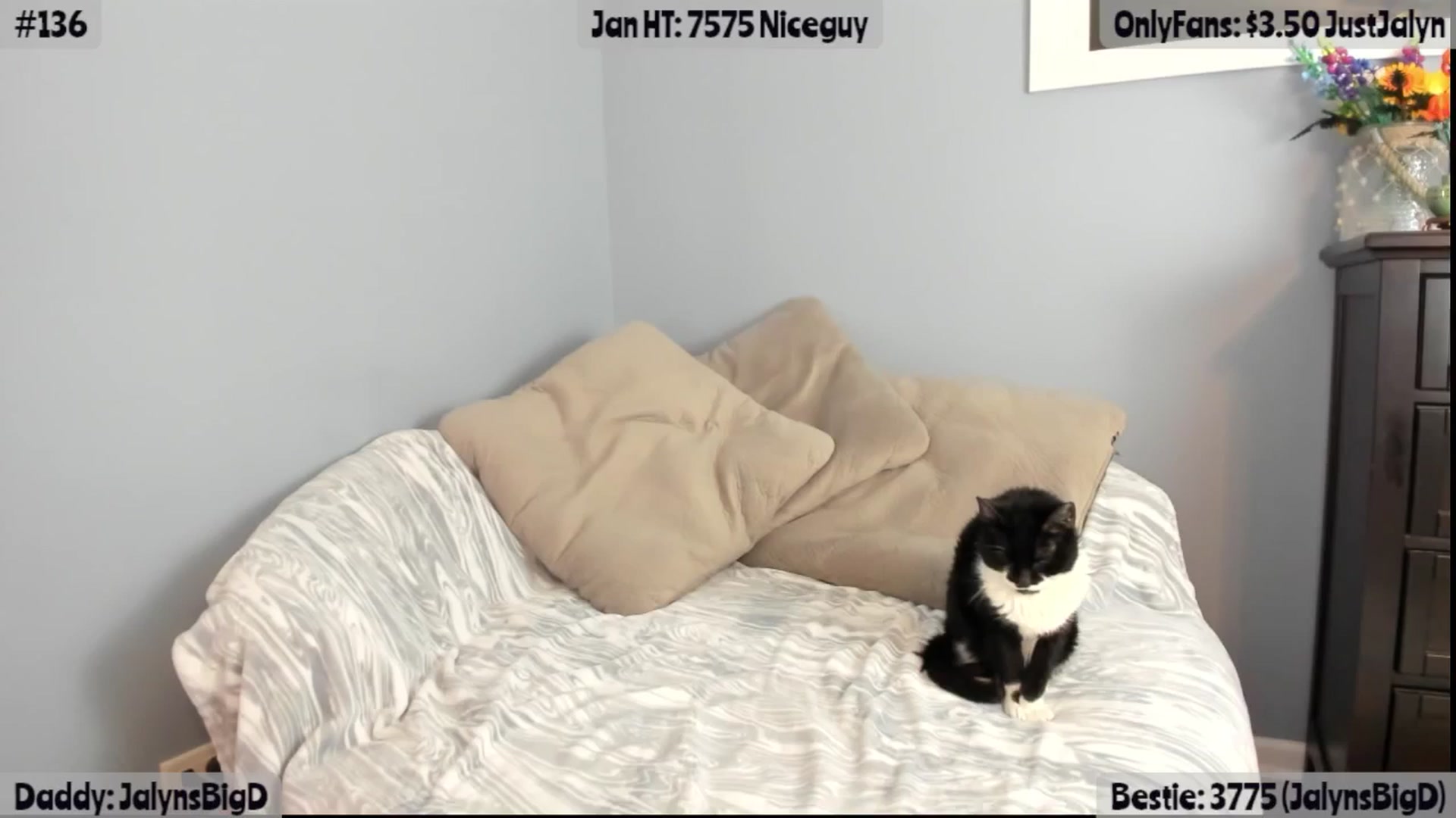 Gallery image thumbnail from Jalyn's myfreecams stream on, 01/22/2026, 03:20 image 10 of 20