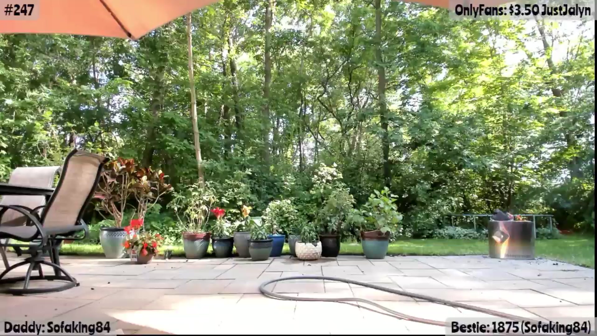 Gallery image thumbnail from Jalyn's myfreecams stream on, 06/03/2026, 22:02 image 17 of 20