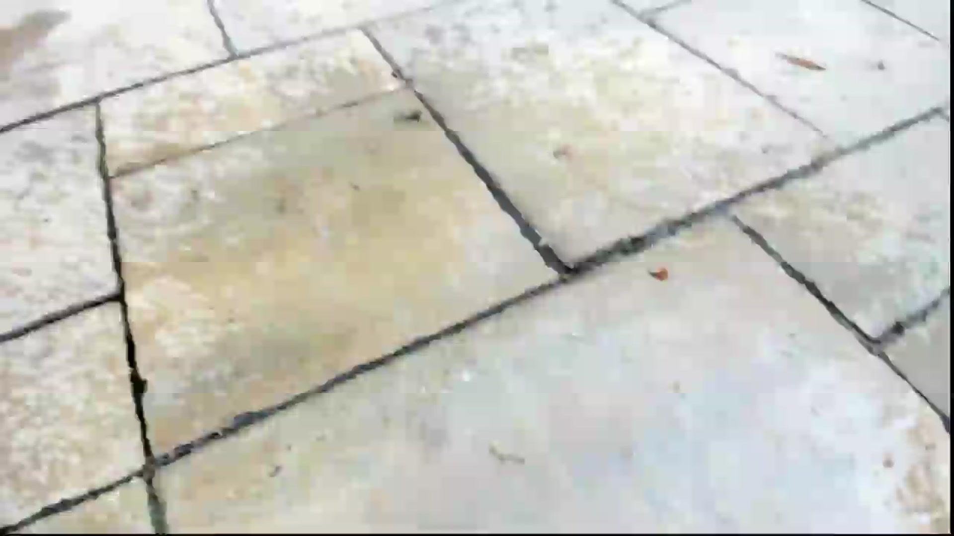 Gallery image thumbnail from Jalyn's myfreecams stream on, 06/13/2026, 24:01 image 15 of 20