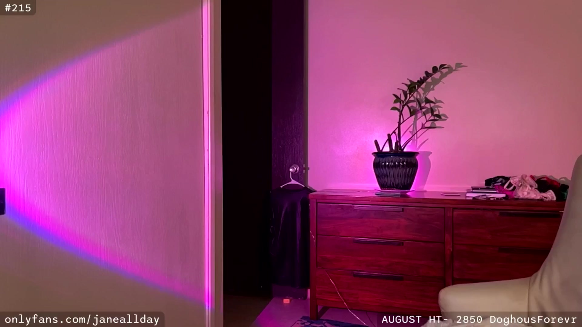 Gallery image thumbnail from JaneAllDay's myfreecams stream on, 08/22/2025, 05:45 image 10 of 20