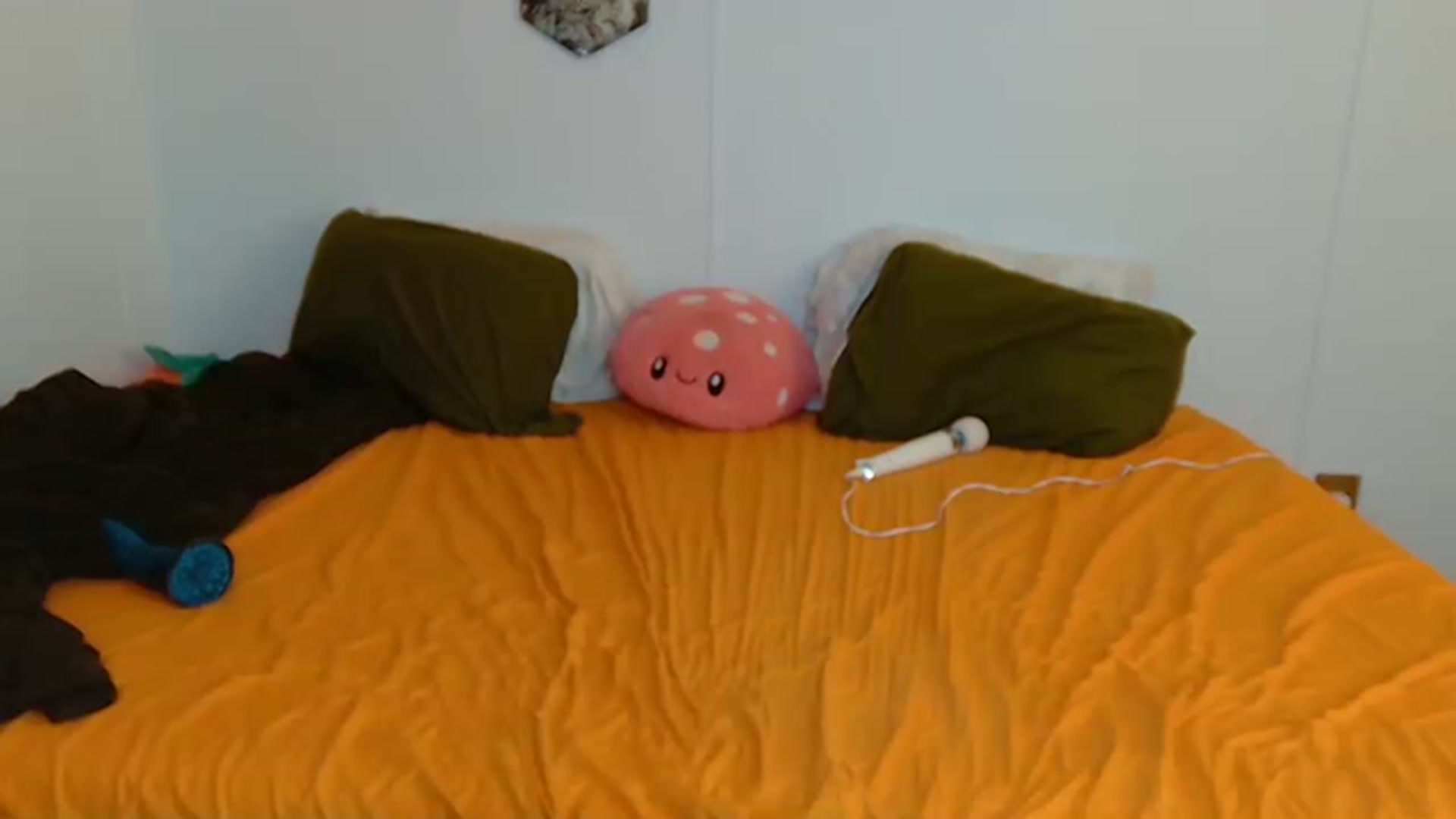 Gallery image thumbnail from JaneMantis's myfreecams stream on, 12/12/2022, 19:56 image 9 of 20