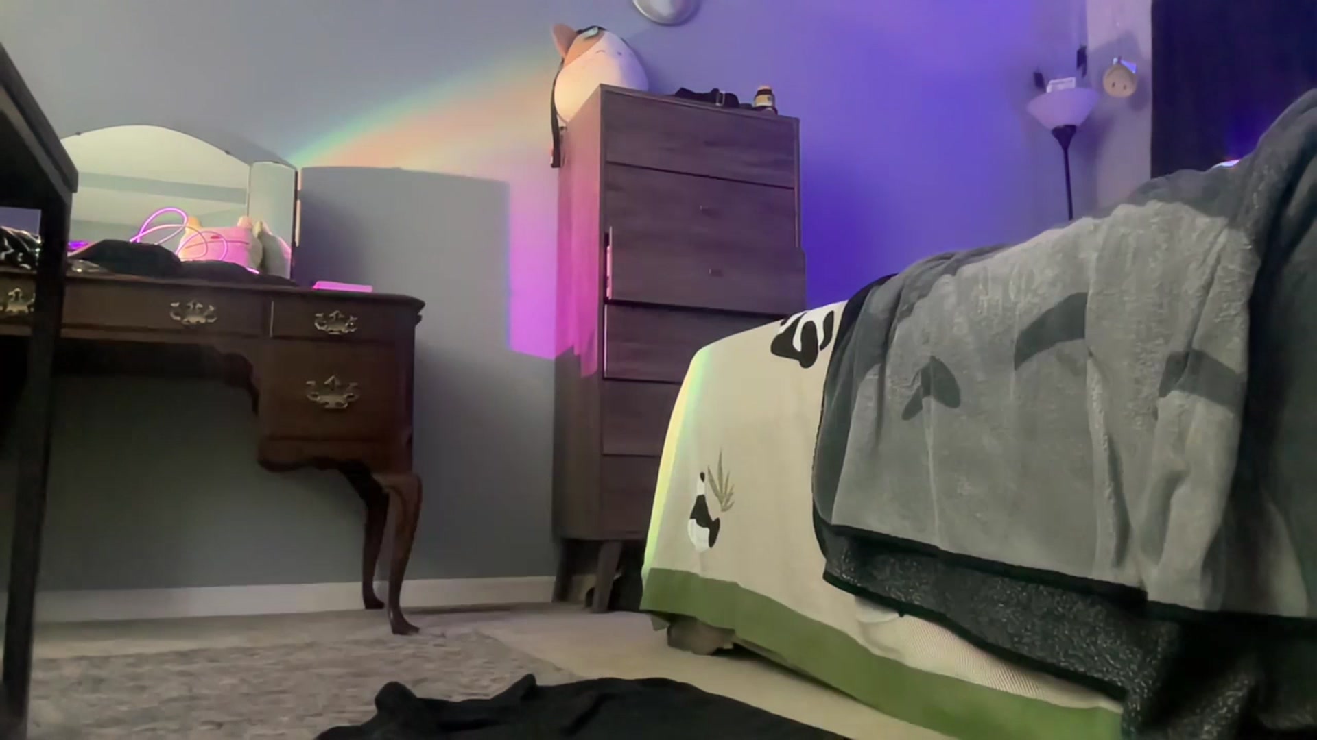 Gallery image thumbnail from Jane_Fern's myfreecams stream on, 07/08/2023, 04:31 image 1 of 20