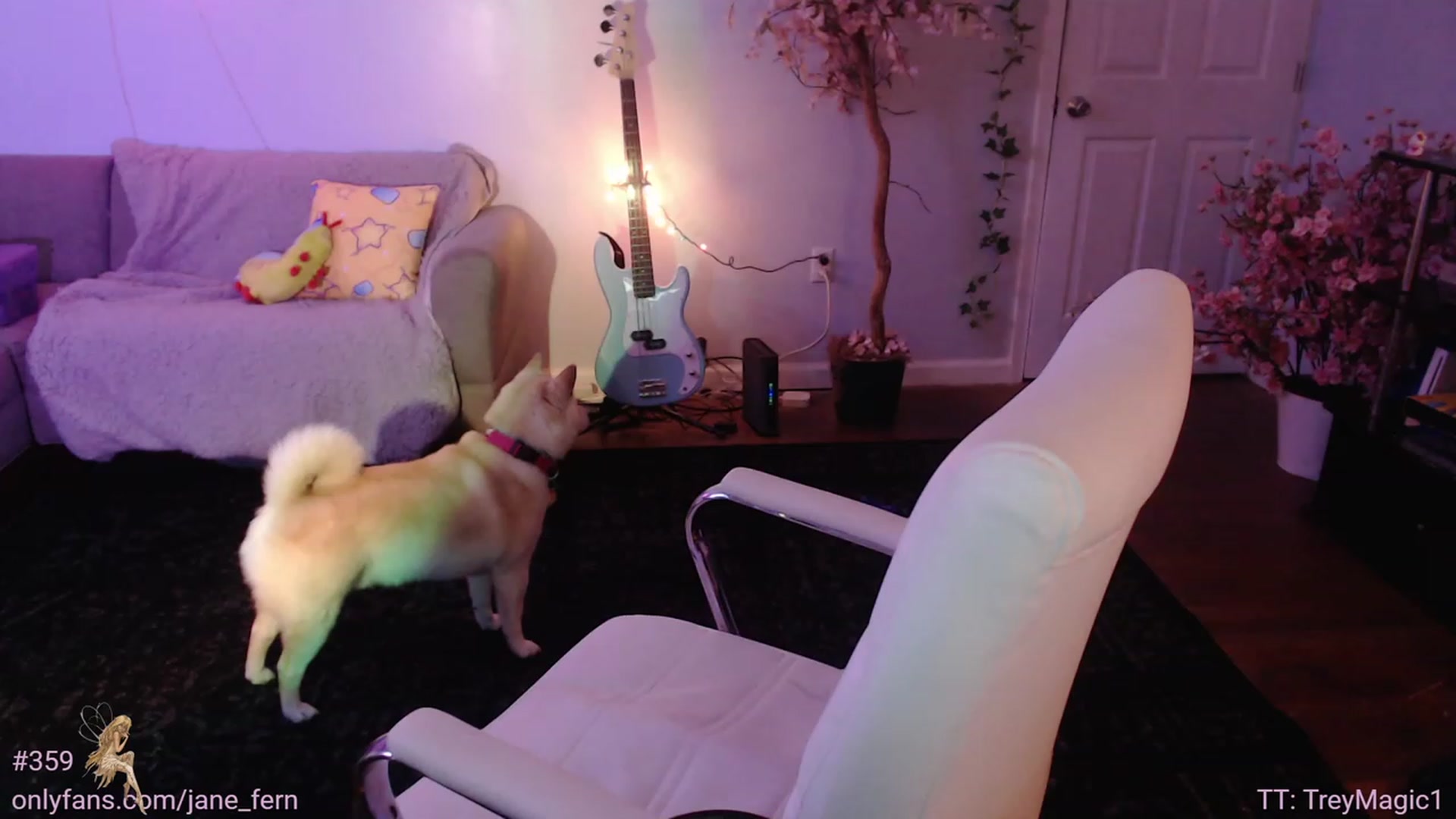 Gallery image thumbnail from Jane_Fern's myfreecams stream on, 07/18/2023, 02:59 image 2 of 20