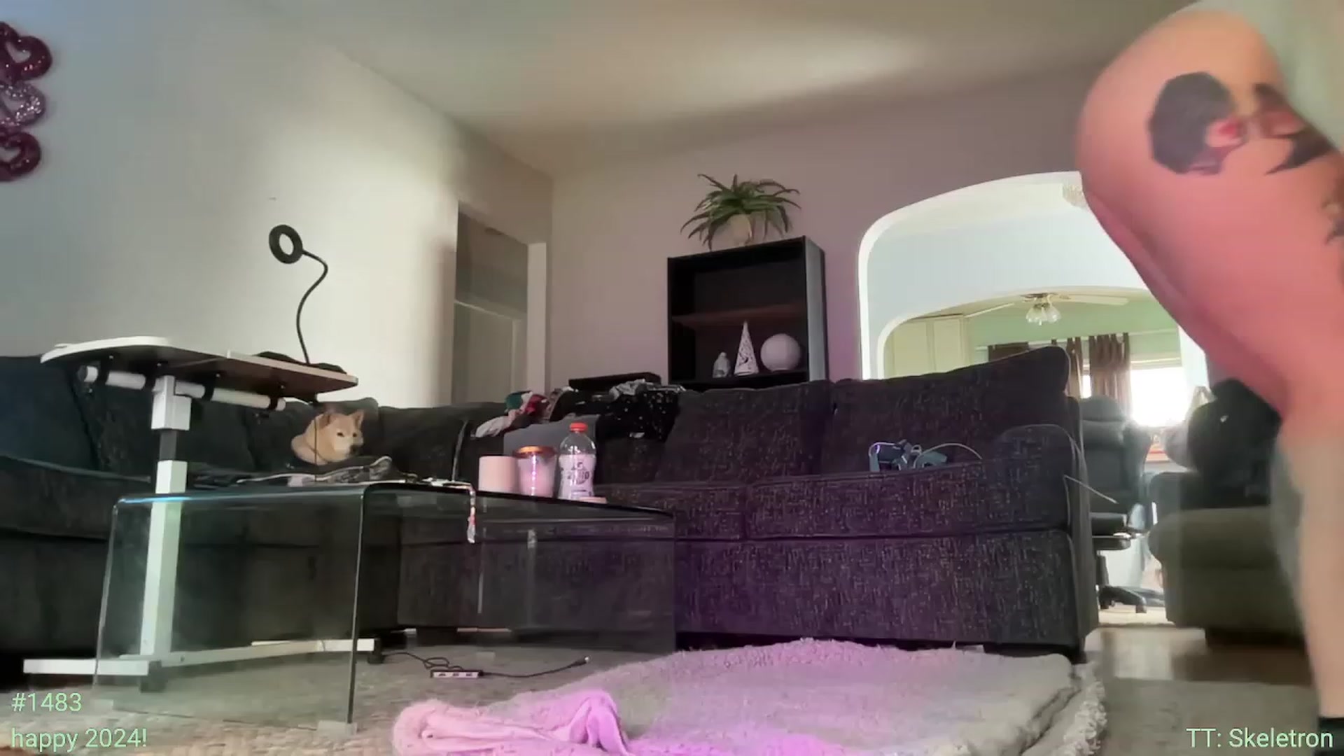 Gallery image thumbnail from Jane_Fern's myfreecams stream on, 01/15/2024, 20:13 image 13 of 20
