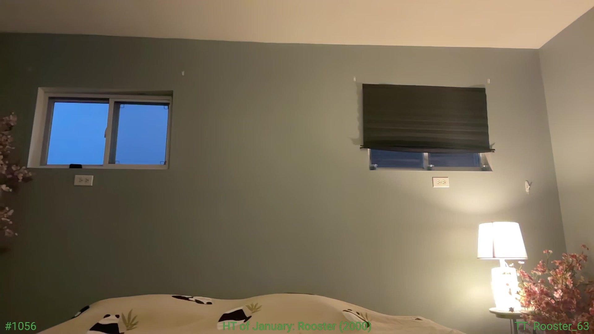 Gallery image thumbnail from Jane_Fern's myfreecams stream on, 01/30/2024, 24:28 image 4 of 20