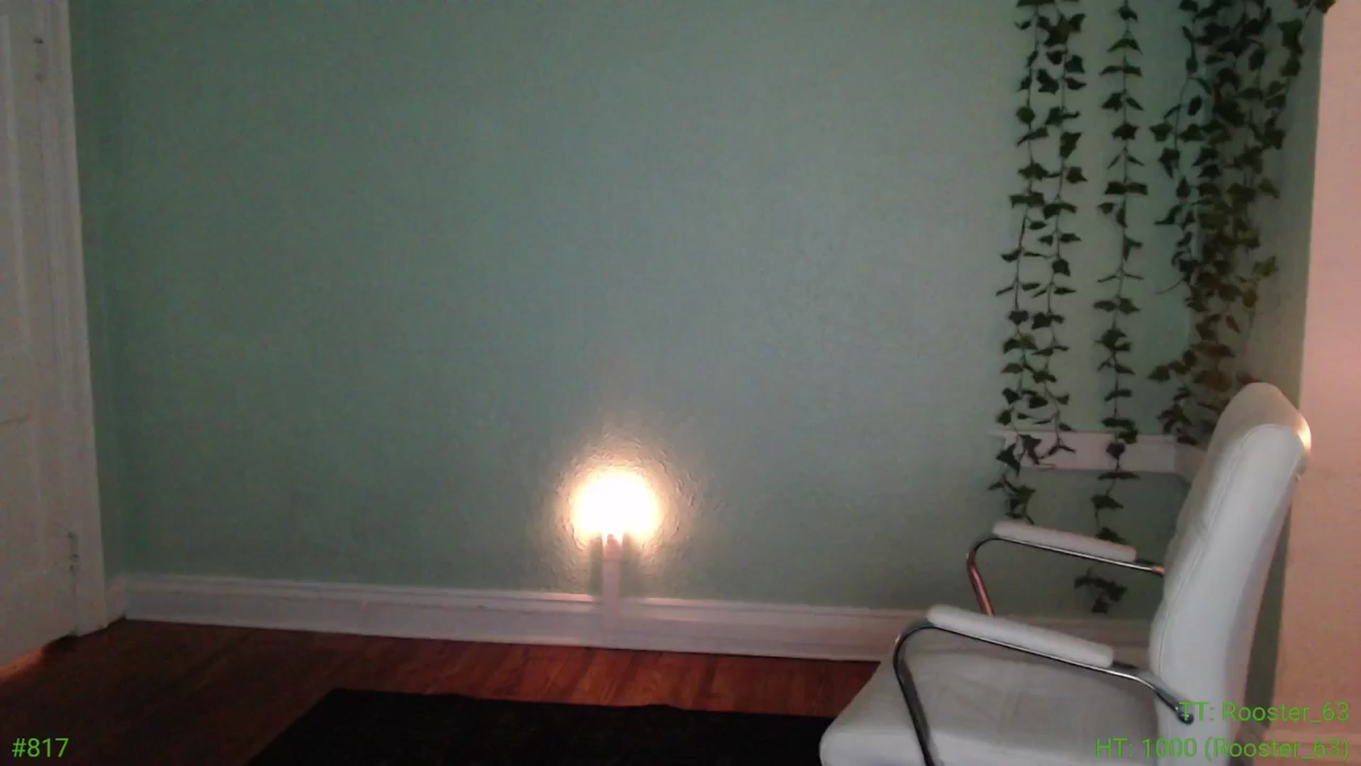 Gallery image thumbnail from Jane_Fern's myfreecams stream on, 07/18/2024, 04:06 image 16 of 20