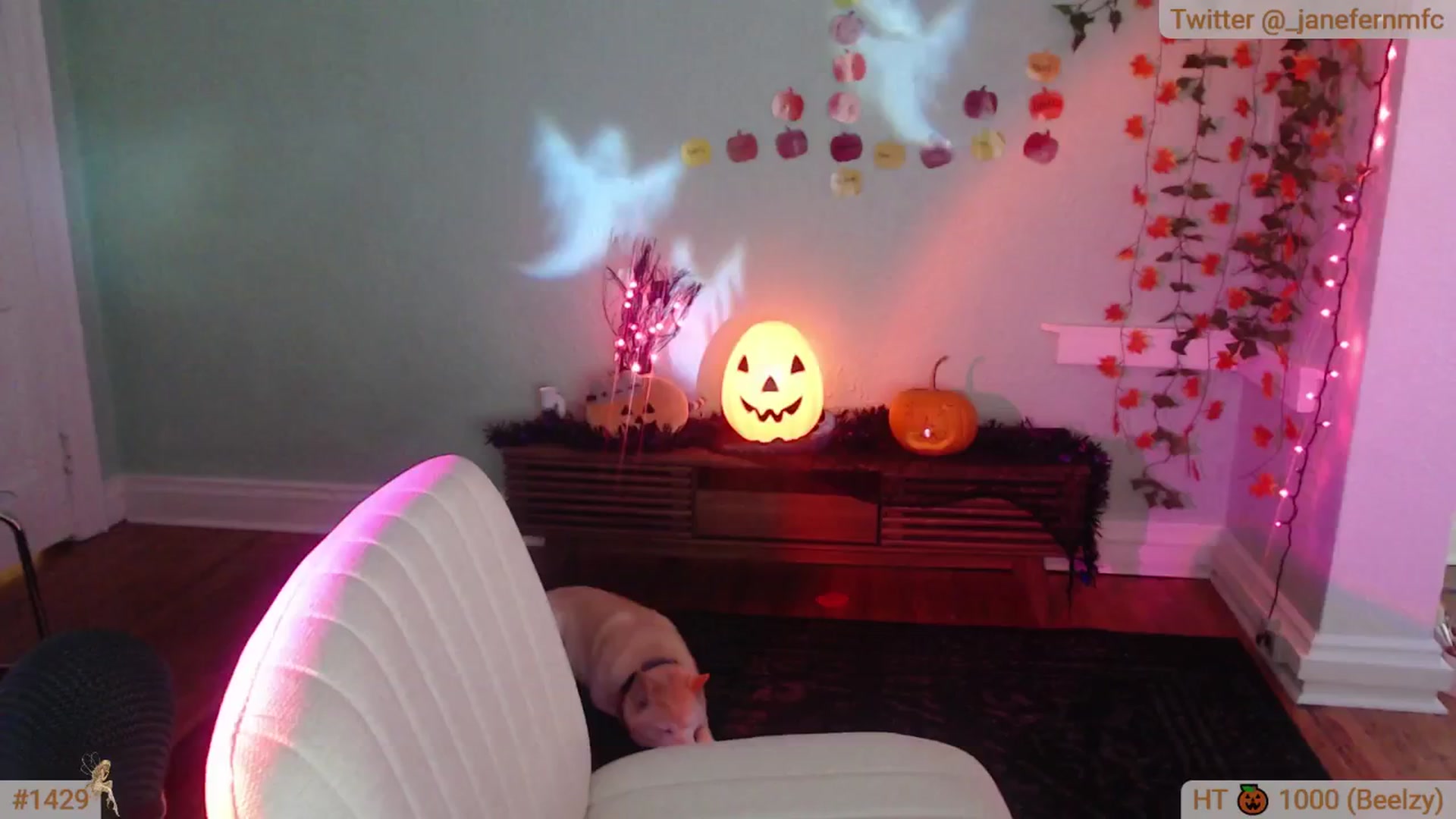 Gallery image thumbnail from Jane_Fern's myfreecams stream on, 10/29/2024, 04:25 image 19 of 20