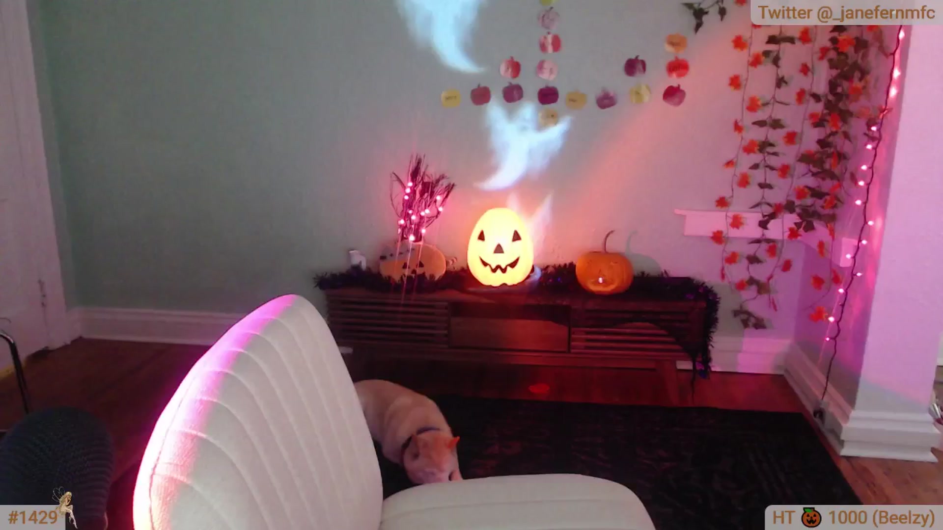 Gallery image thumbnail from Jane_Fern's myfreecams stream on, 10/29/2024, 04:25 image 20 of 20