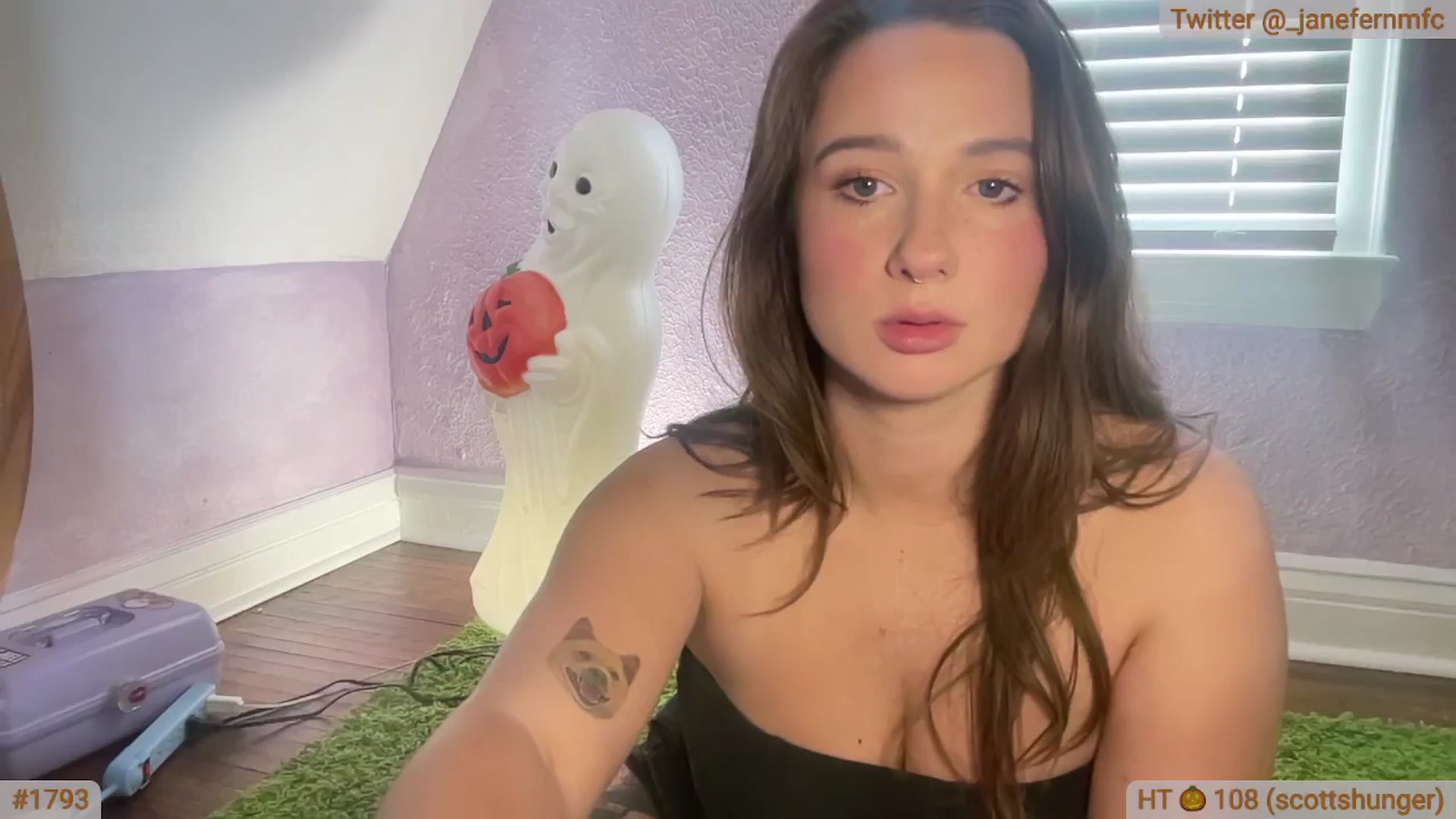 Gallery image thumbnail from Jane_Fern's myfreecams stream on, 11/01/2024, 21:13 image 13 of 20