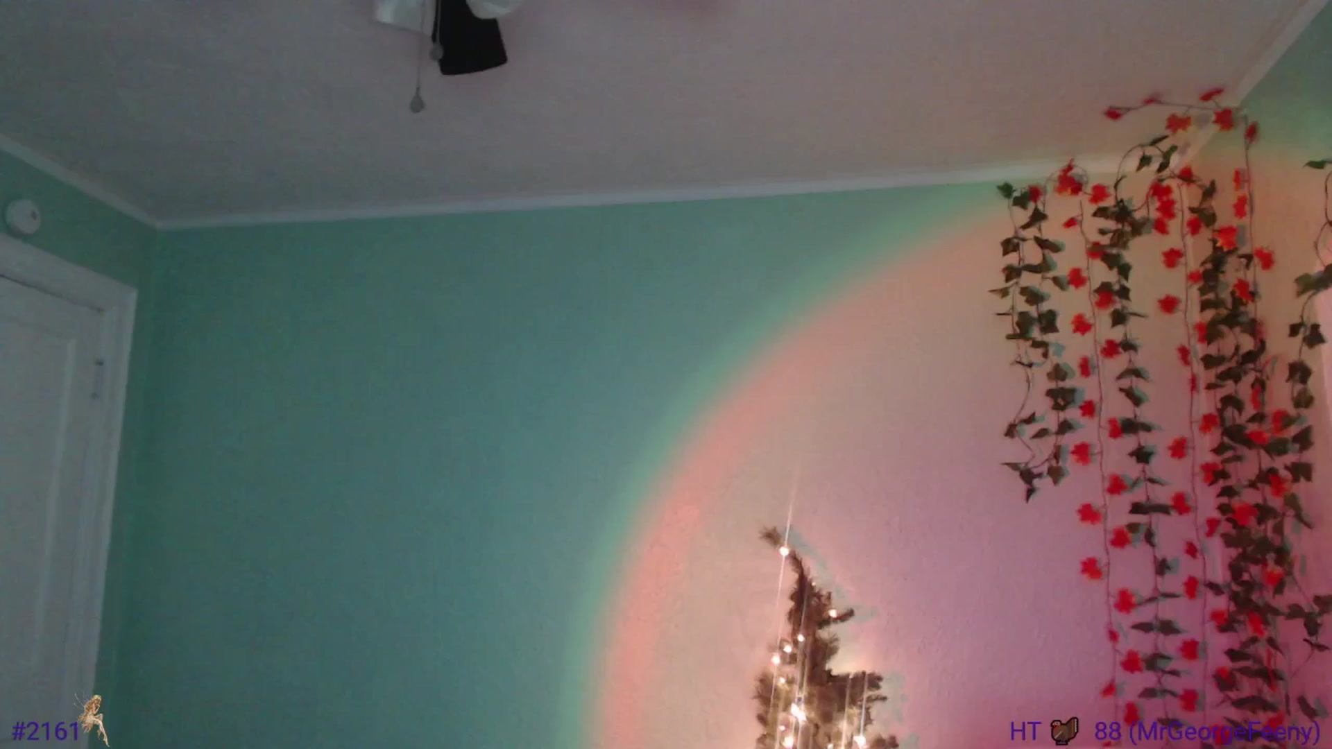 Gallery image thumbnail from Jane_Fern's myfreecams stream on, 11/26/2024, 05:01 image 7 of 20