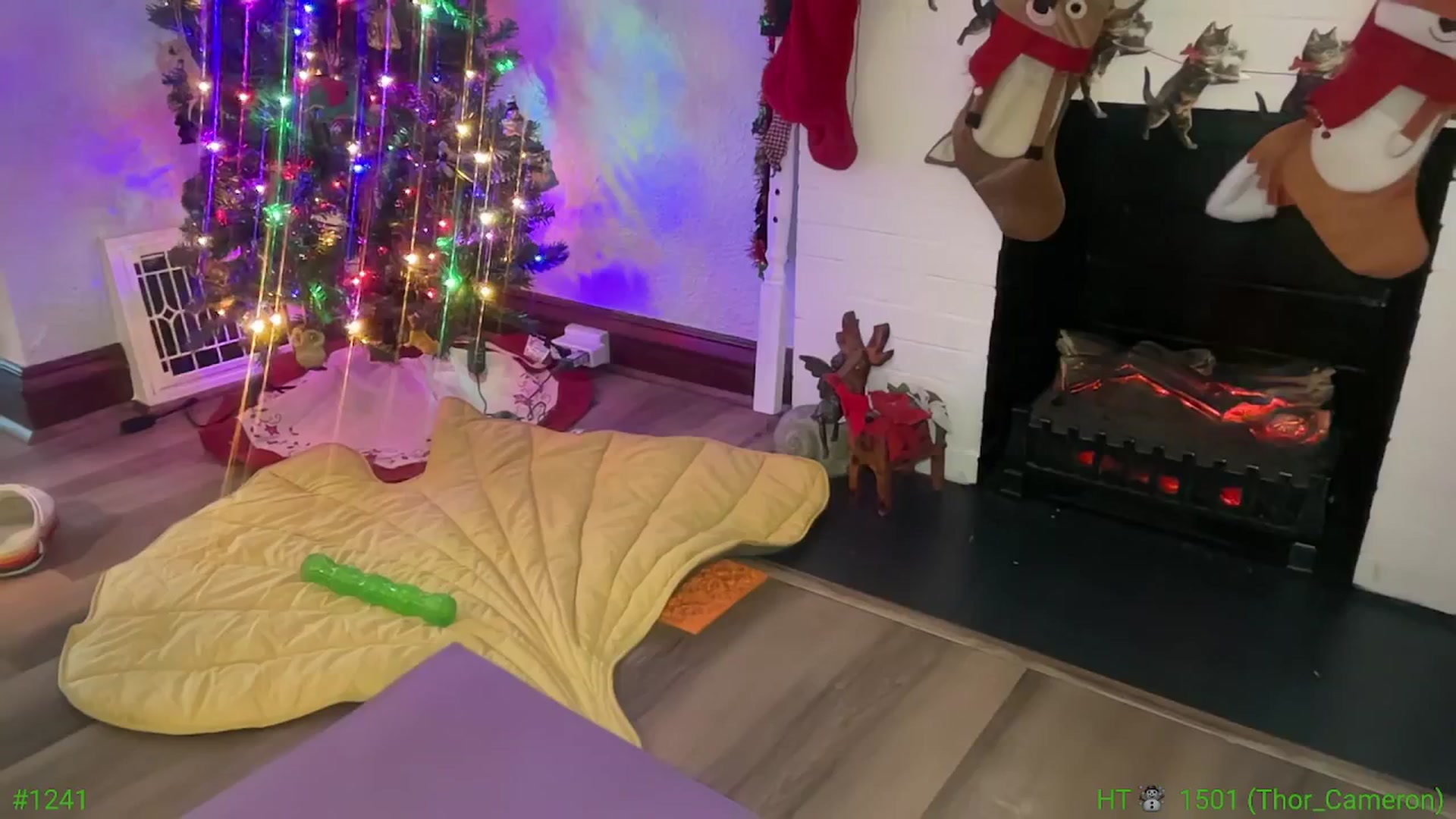 Gallery image thumbnail from Jane_Fern's myfreecams stream on, 12/24/2024, 20:28 image 20 of 20
