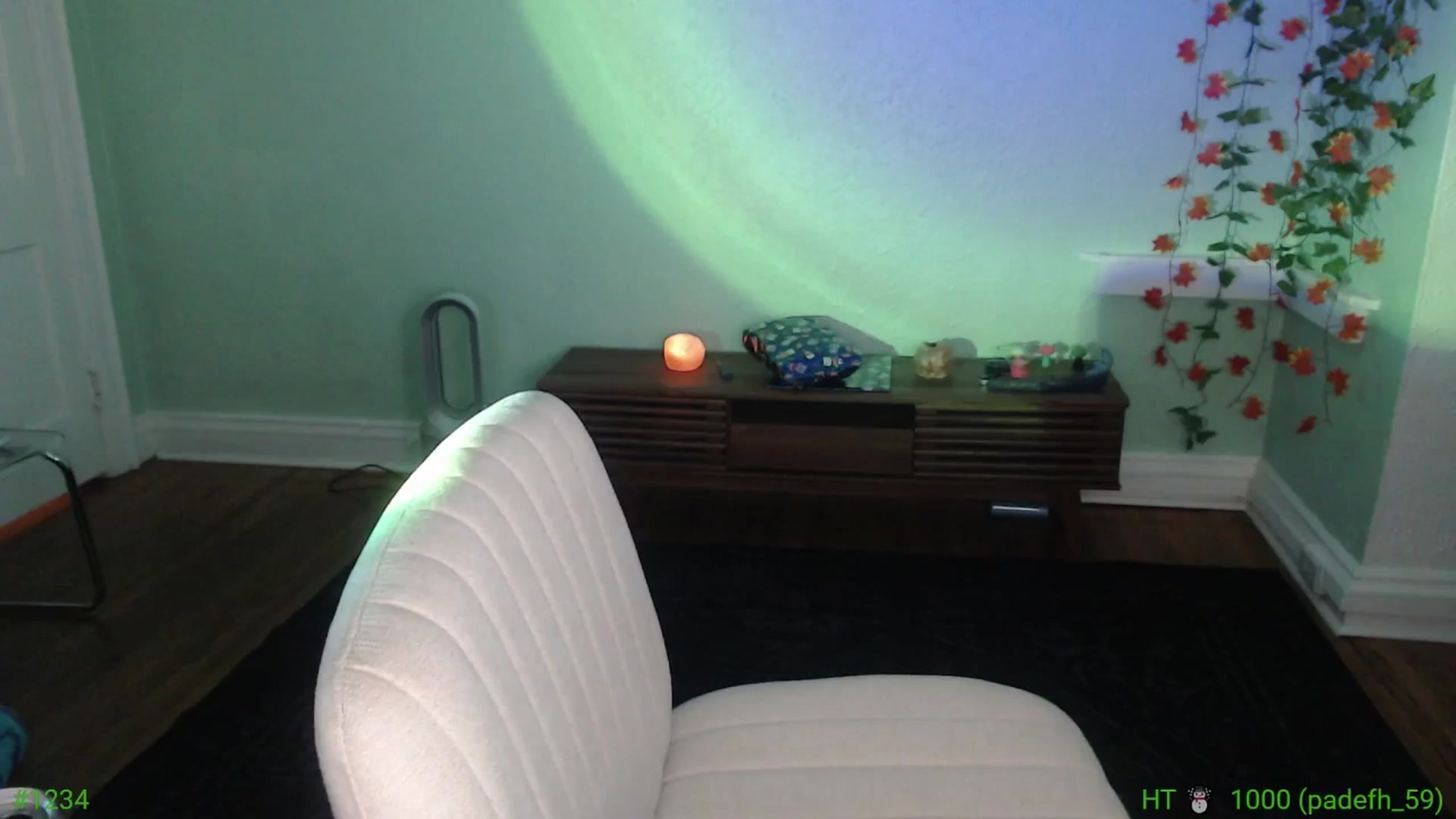 Gallery image thumbnail from Jane_Fern's myfreecams stream on, 12/27/2024, 05:44 image 11 of 20