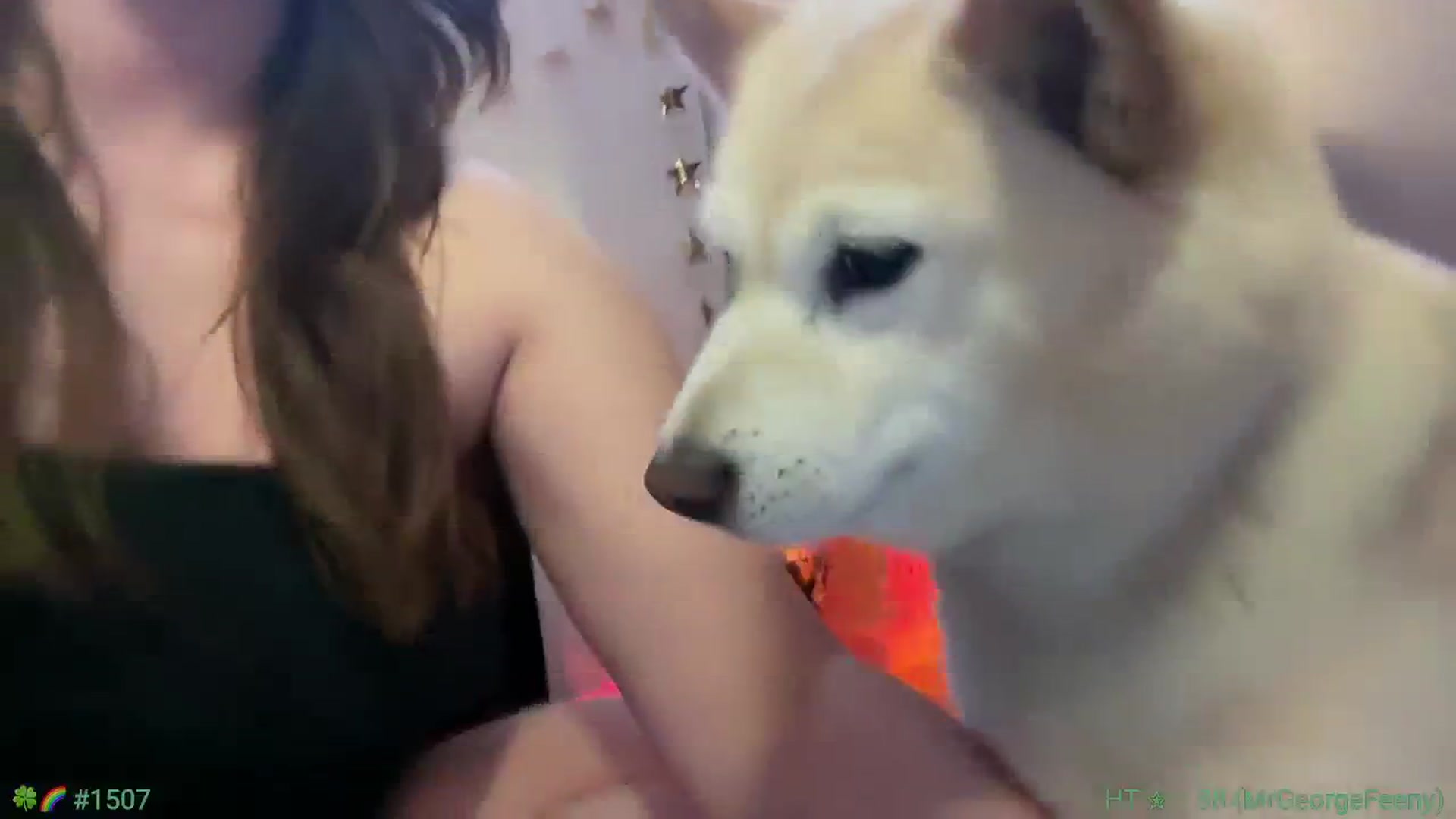 Gallery image thumbnail from Jane_Fern's myfreecams stream on, 04/01/2025, 06:03 image 6 of 20