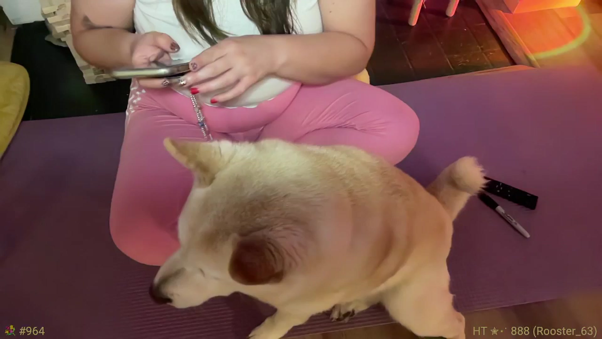 Gallery image thumbnail from Jane_Fern's myfreecams stream on, 04/03/2025, 05:10 image 12 of 20