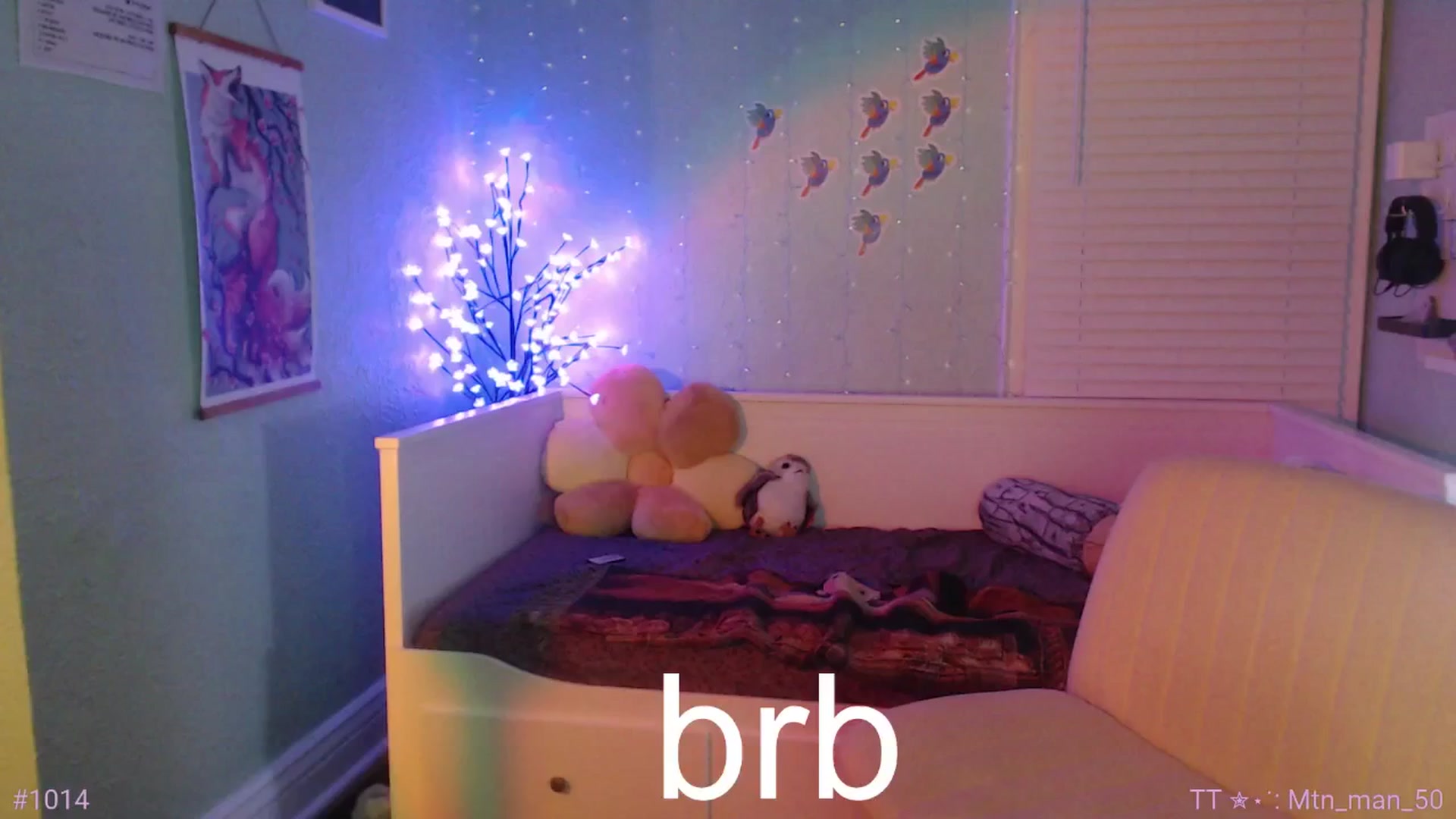 Gallery image thumbnail from Jane_Fern's myfreecams stream on, 06/17/2025, 05:49 image 5 of 20