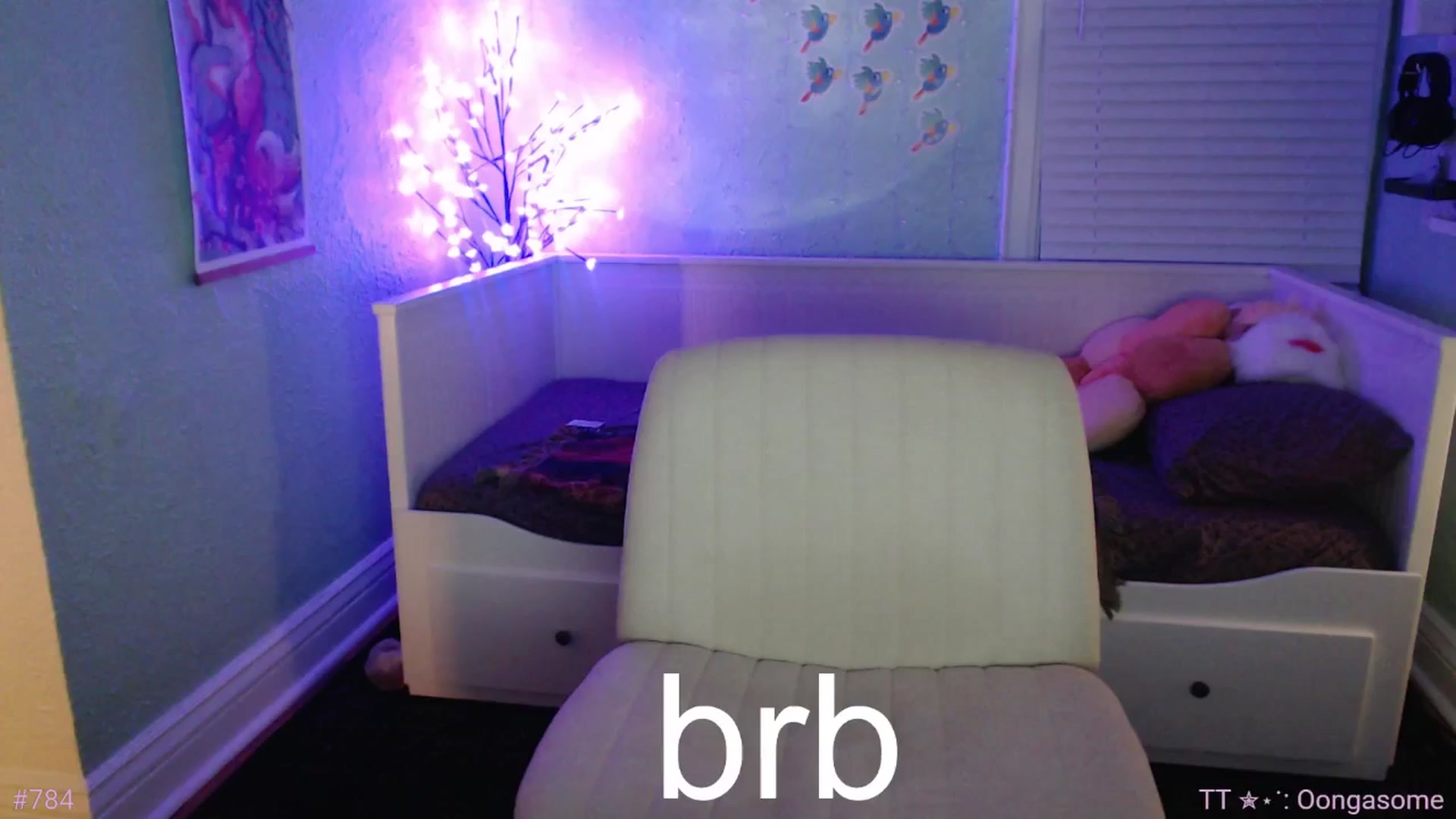 Gallery image thumbnail from Jane_Fern's myfreecams stream on, 06/24/2025, 04:21 image 5 of 20